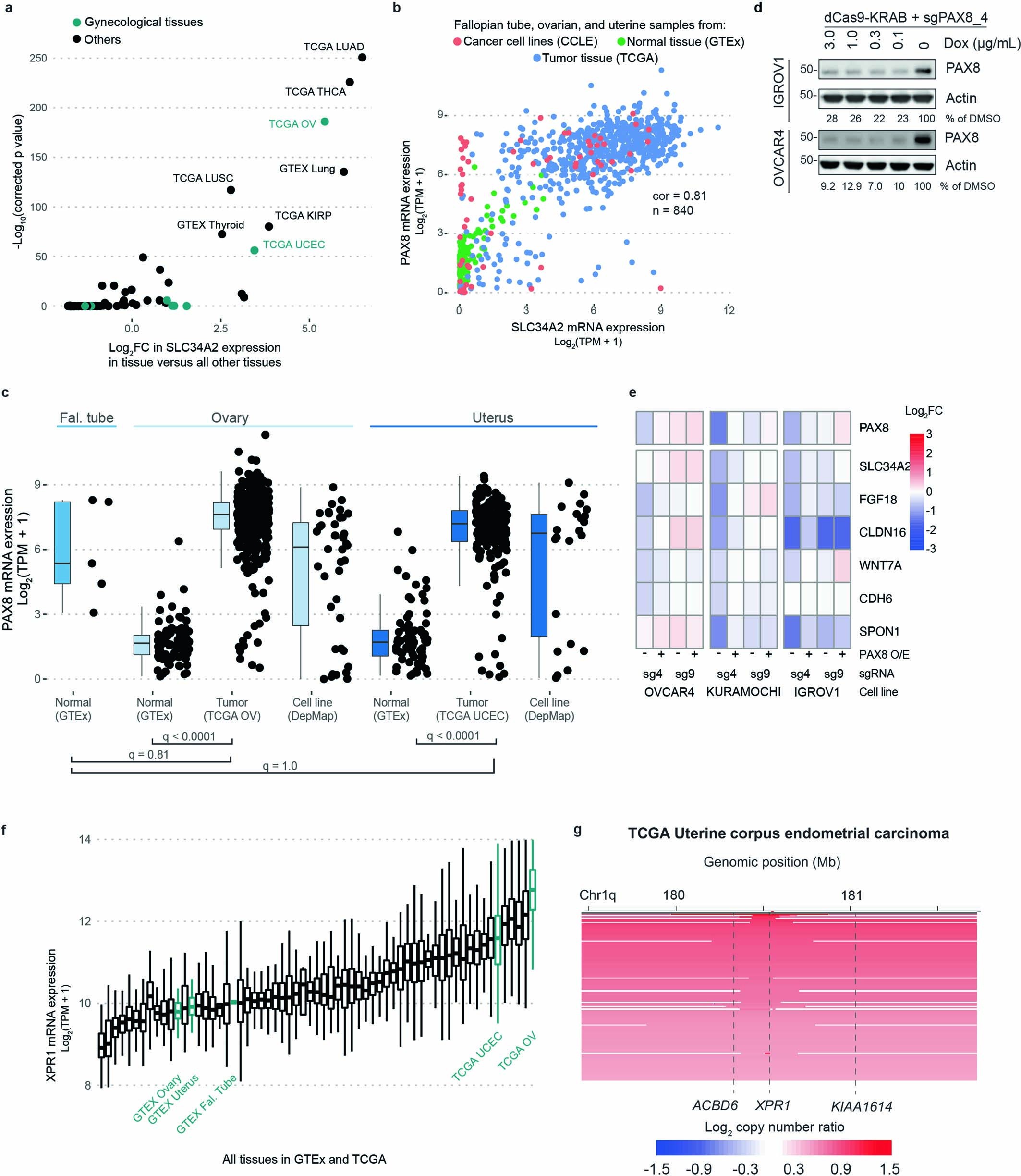 Extended Data Fig. 4