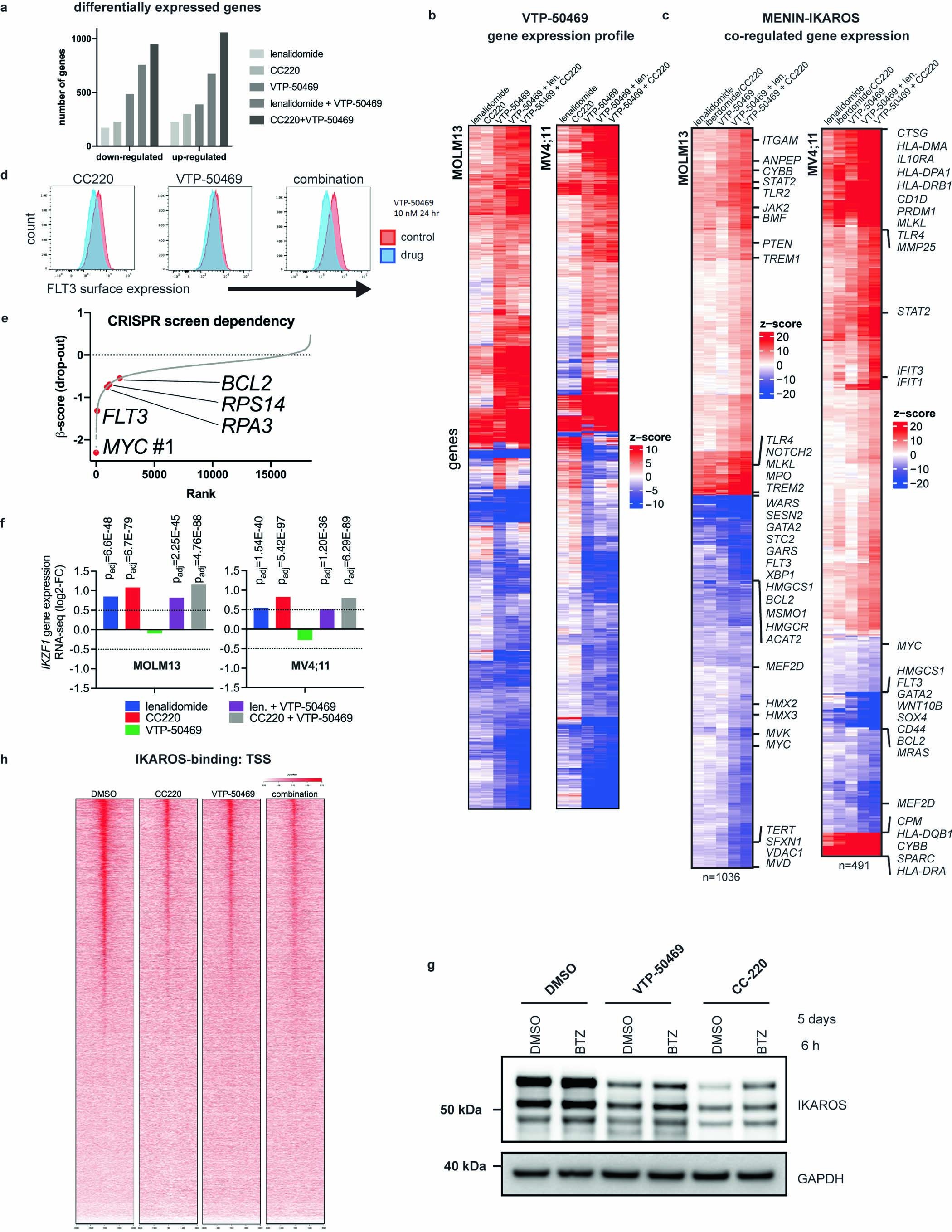 Extended Data Fig. 7: MENIN and IKAROS display overlapping functions in regulation of gene expression.