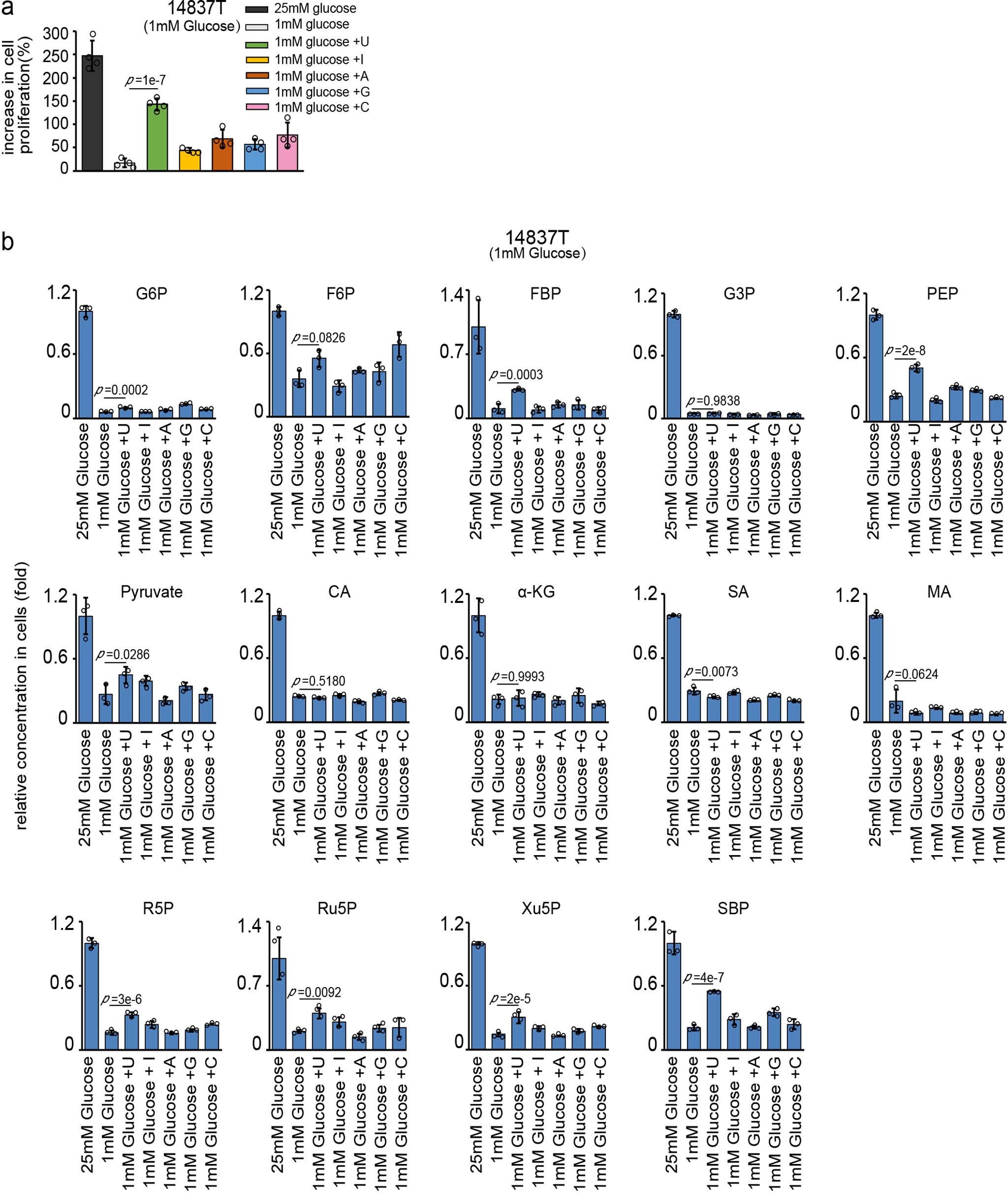 Extended Data Fig. 6: Glycolysis and the TCA cycle were slightly affected by nucleosides under low glucose conditions.