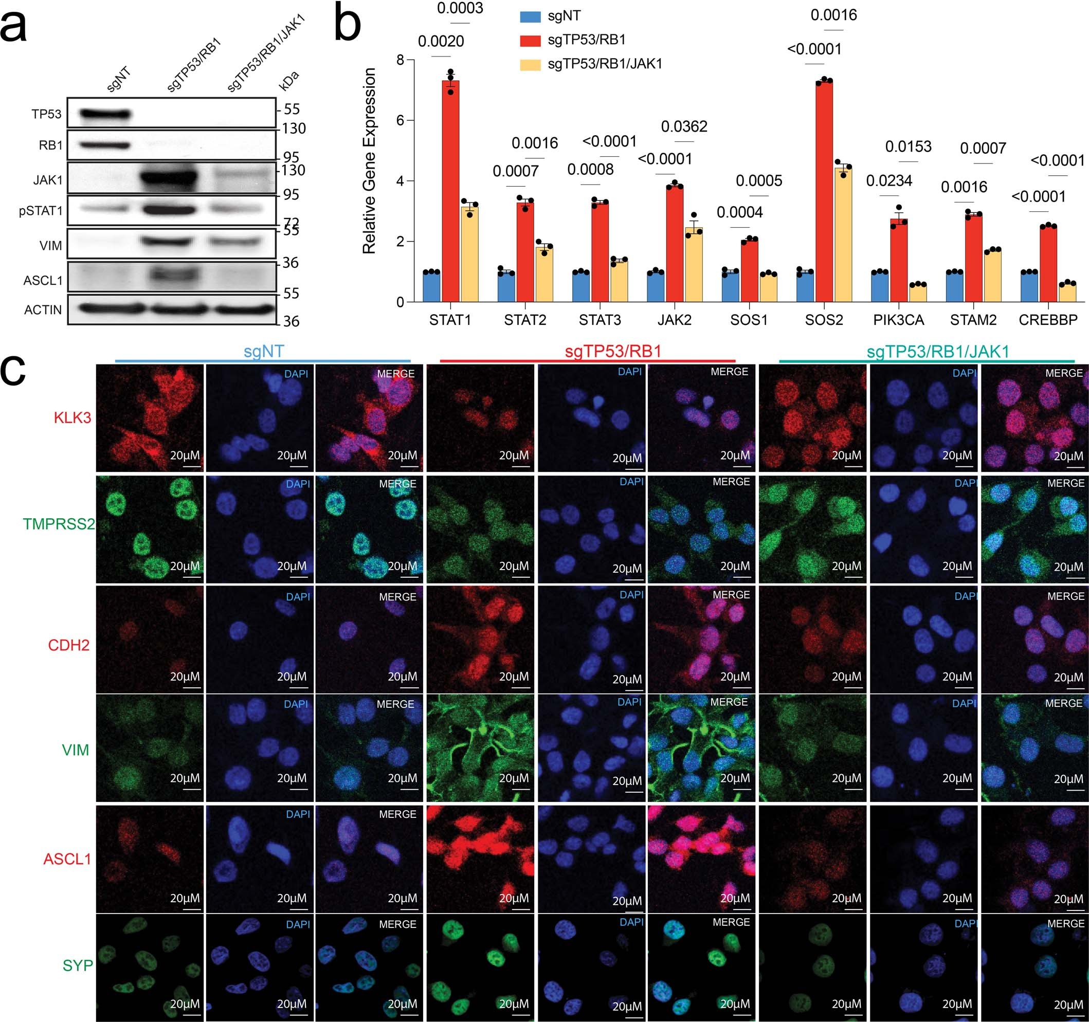 Extended Data Fig. 4