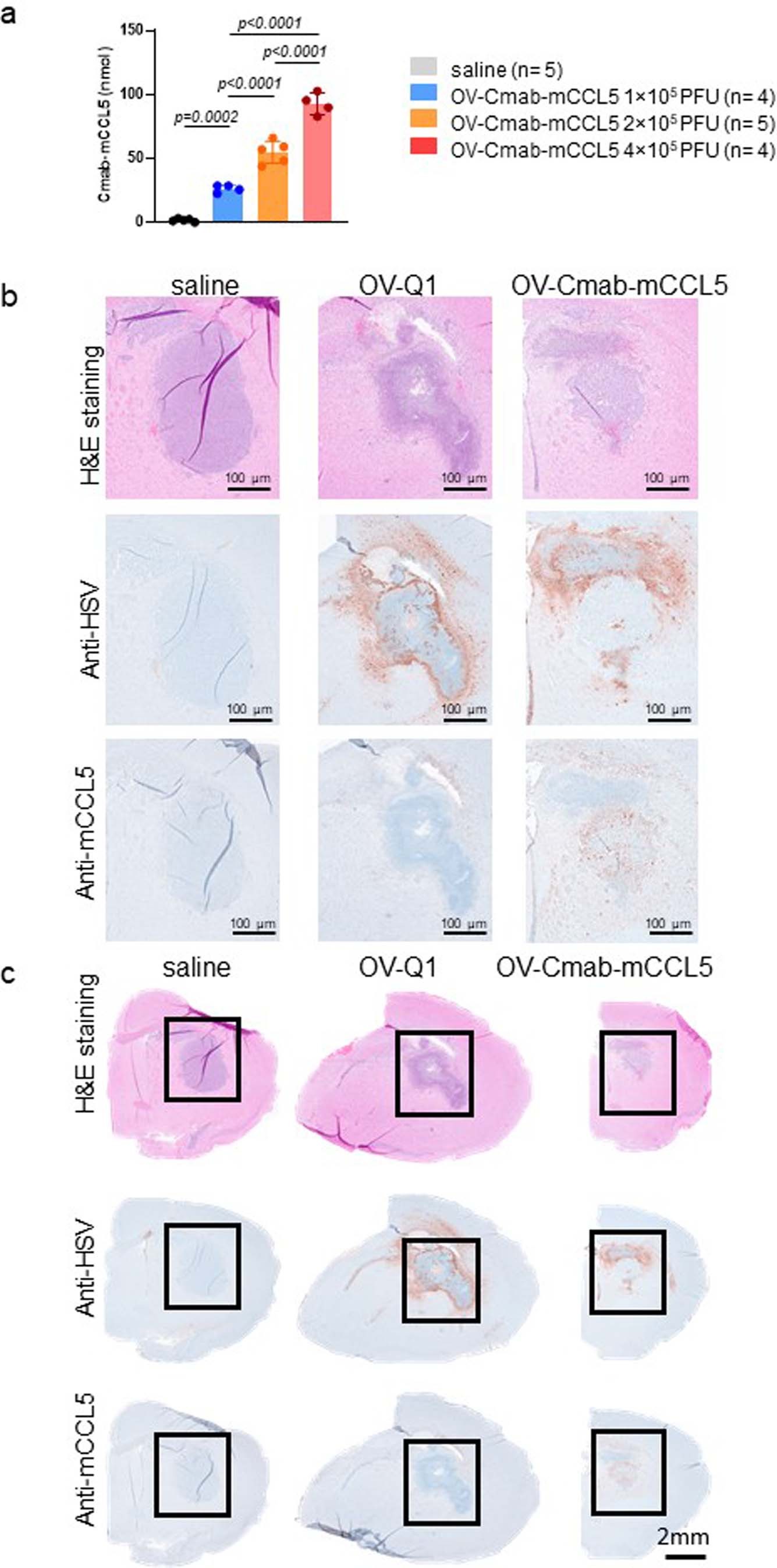 Extended Data Fig. 8