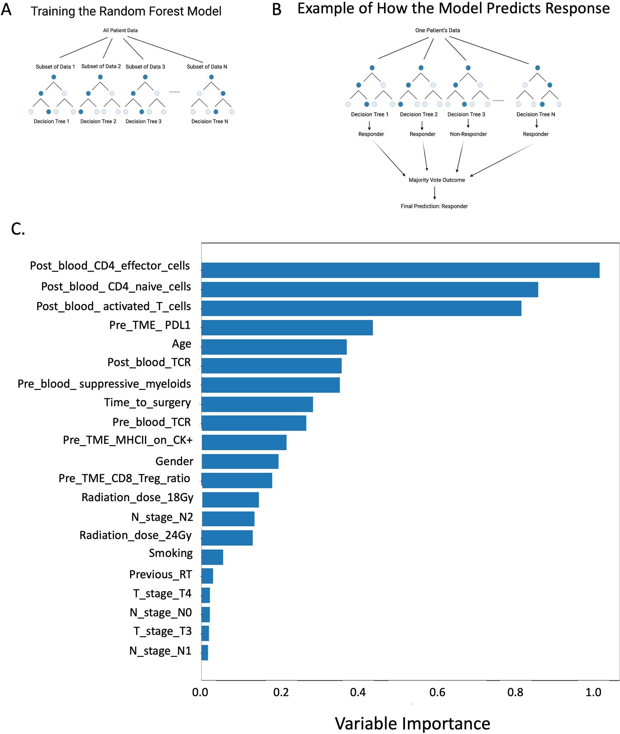 Extended Data Fig. 8: Predictor importance plot for the random forest model averaged across the random initializations.