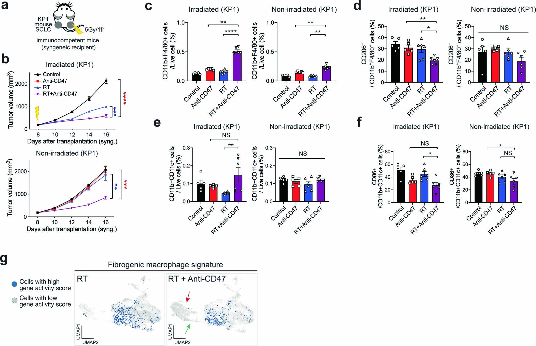 Extended Data Fig. 6