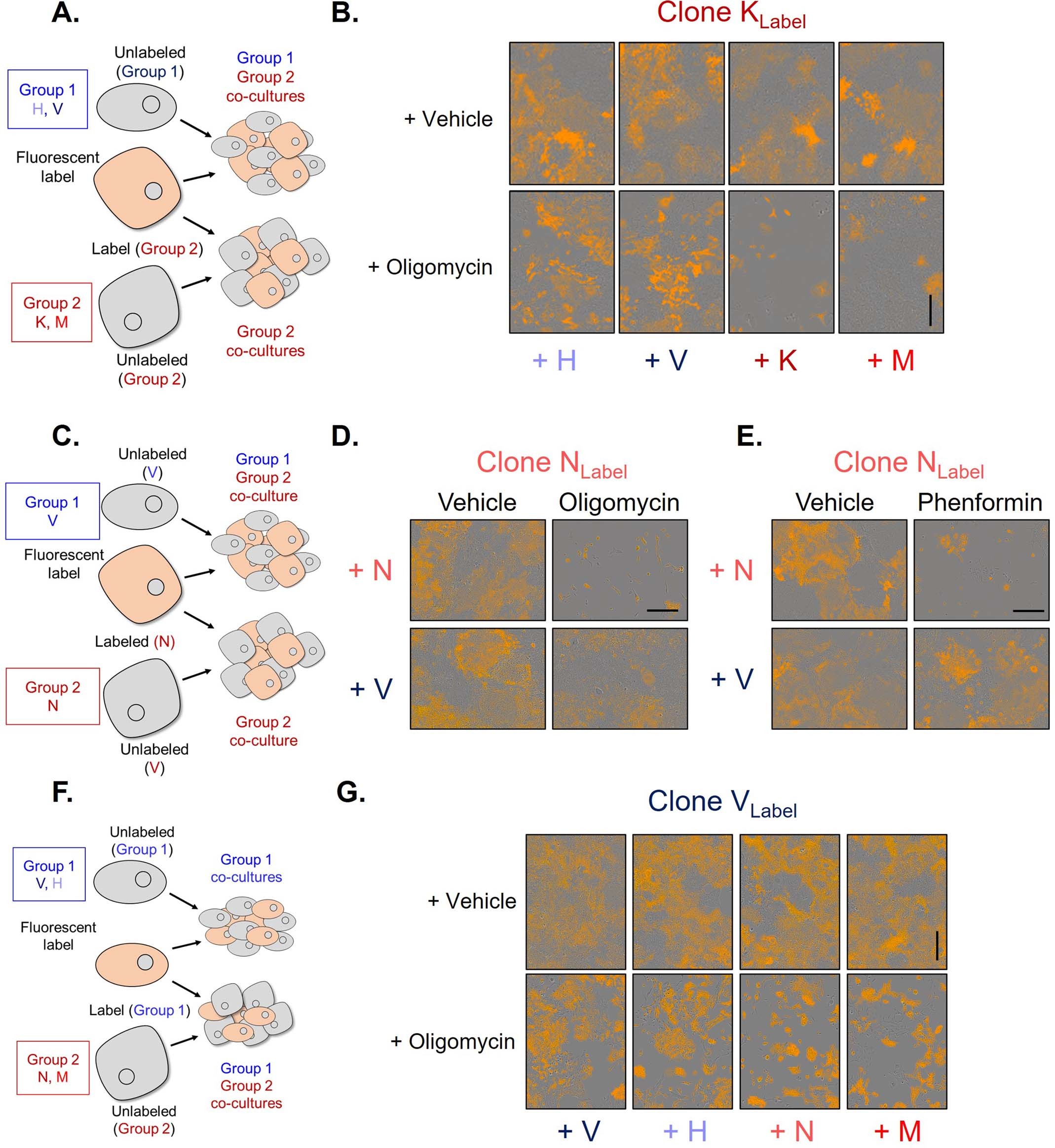Extended Data Fig. 3