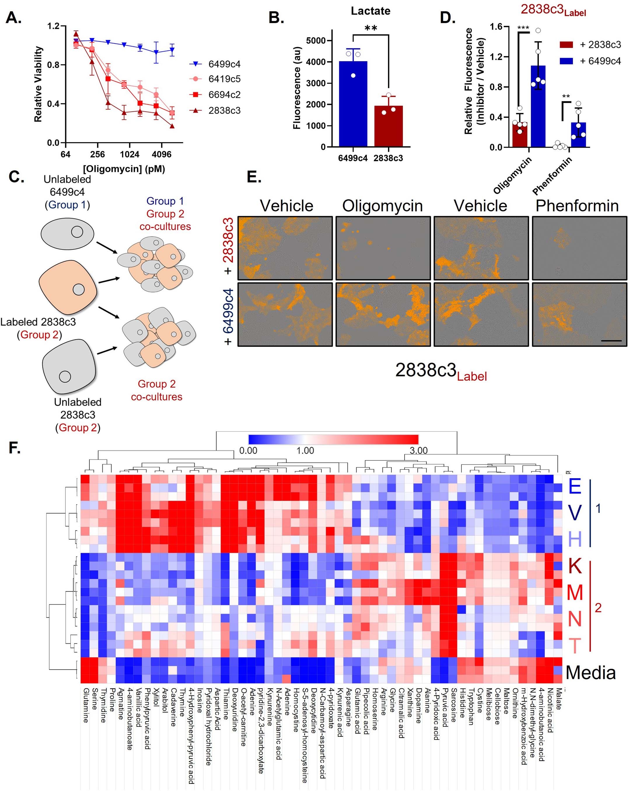 Extended Data Fig. 4