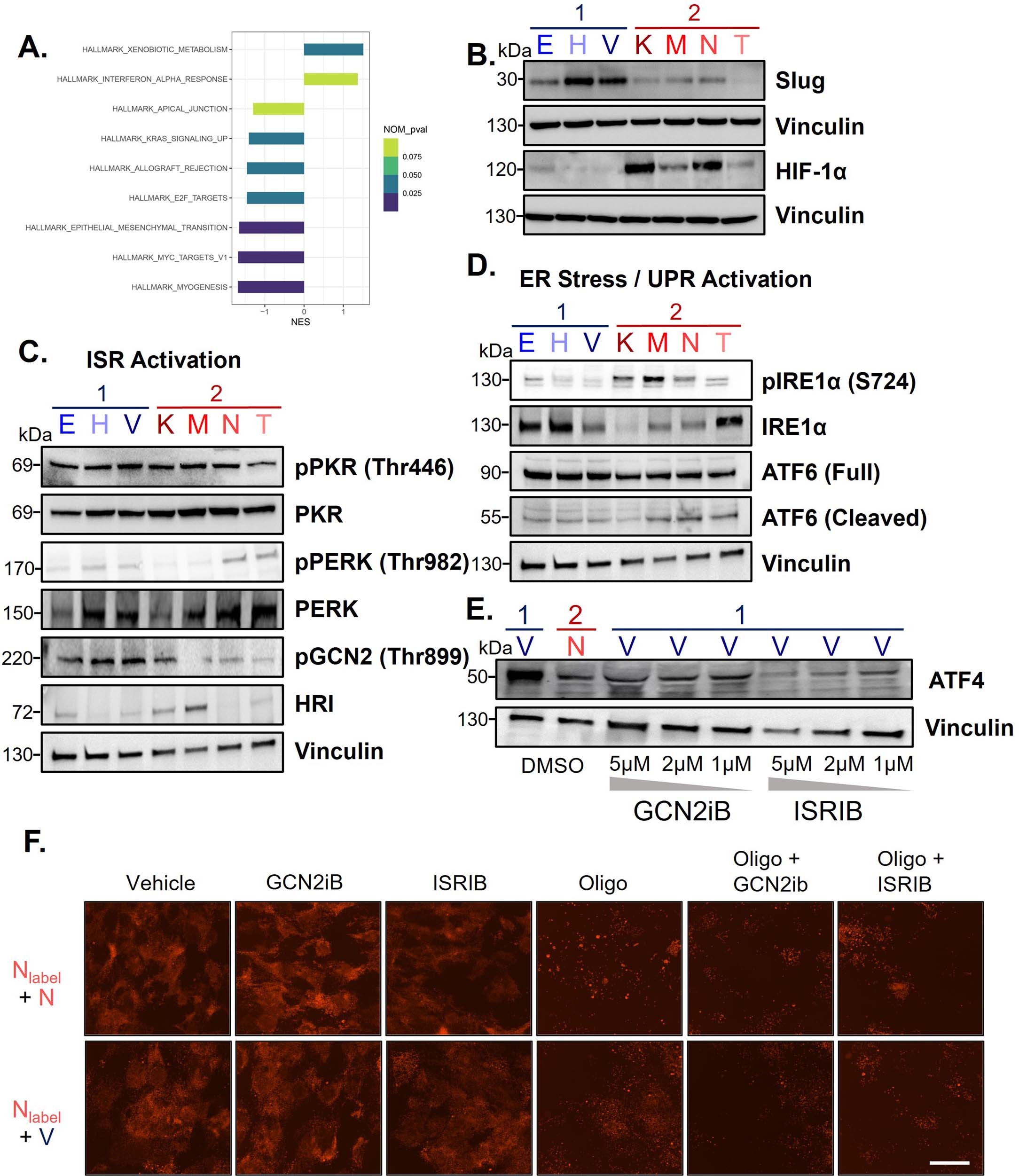 Extended Data Fig. 6
