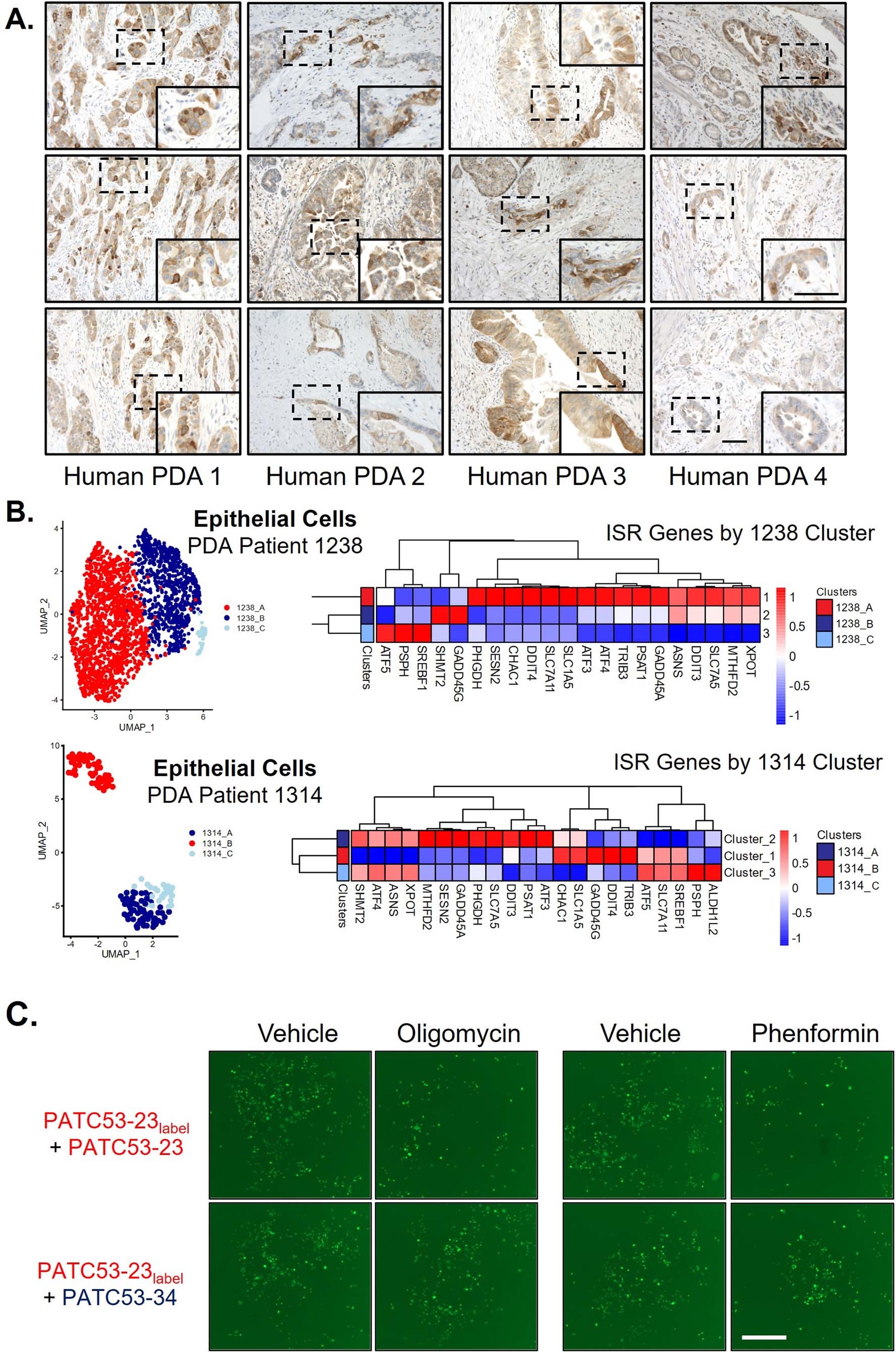 Extended Data Fig. 7