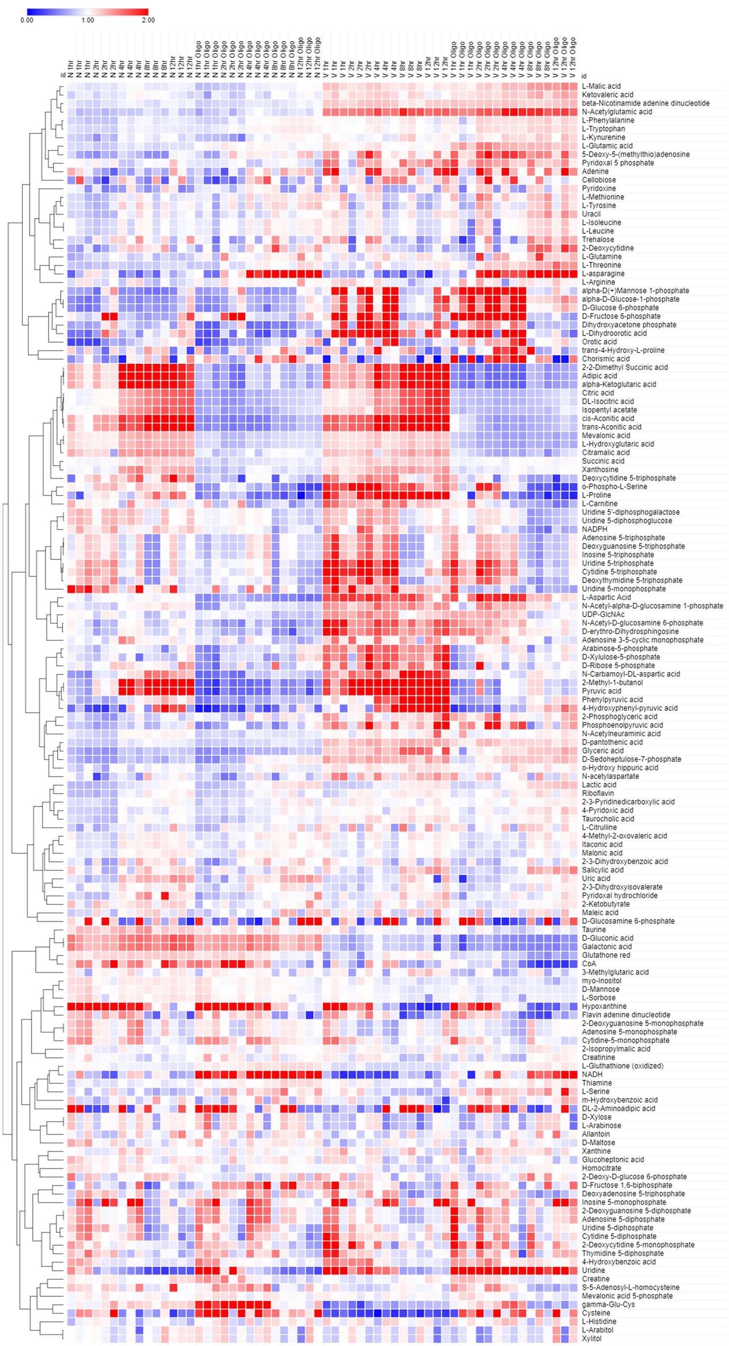 Extended Data Fig. 9: Time Course Metabolomics.