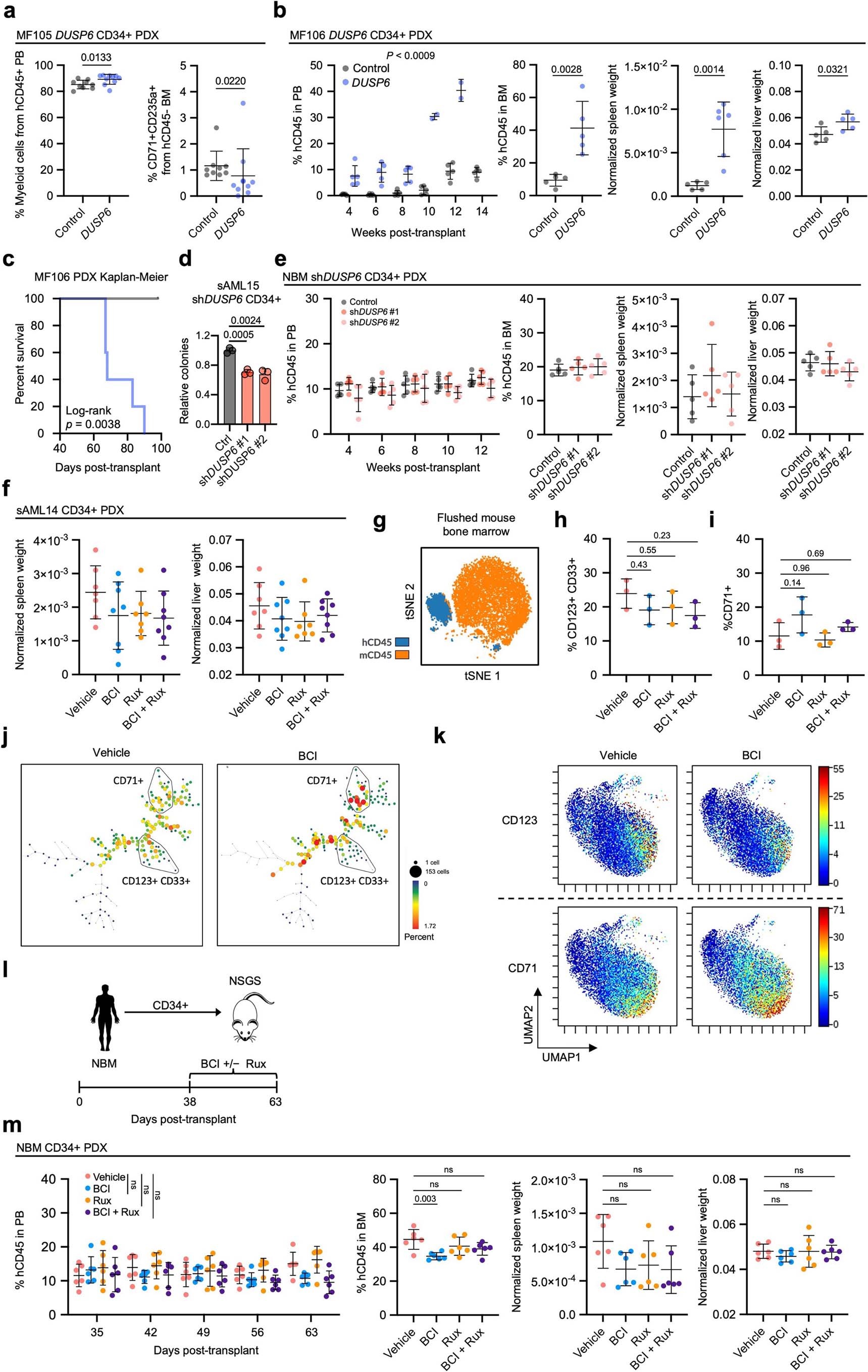 Extended Data Fig. 10: Humanized PDX models of MF and sAML.