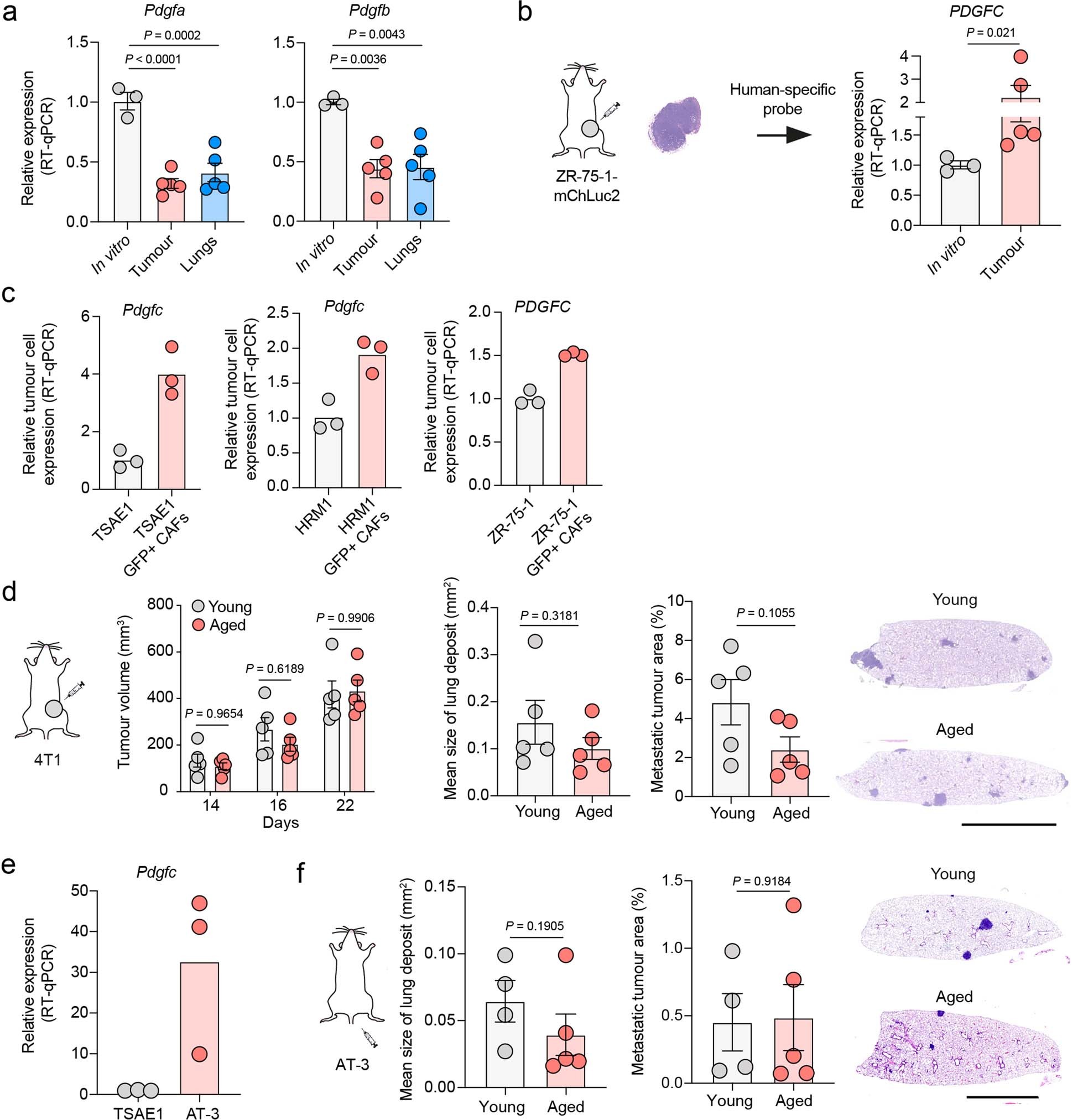 Extended Data Fig. 6