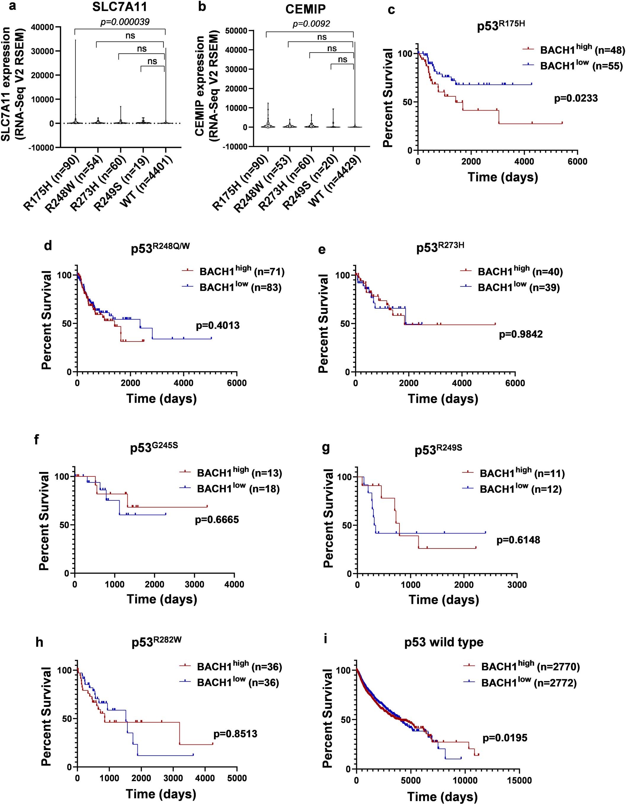 Extended Data Fig. 10: Physiological relevance of p53 R175H mutation in cancer patients.