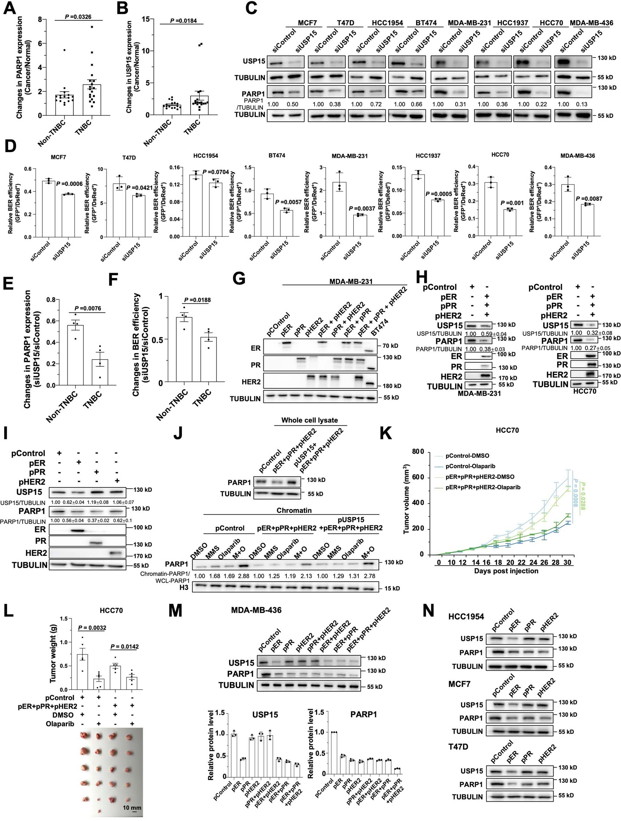 Extended Data Fig. 8
