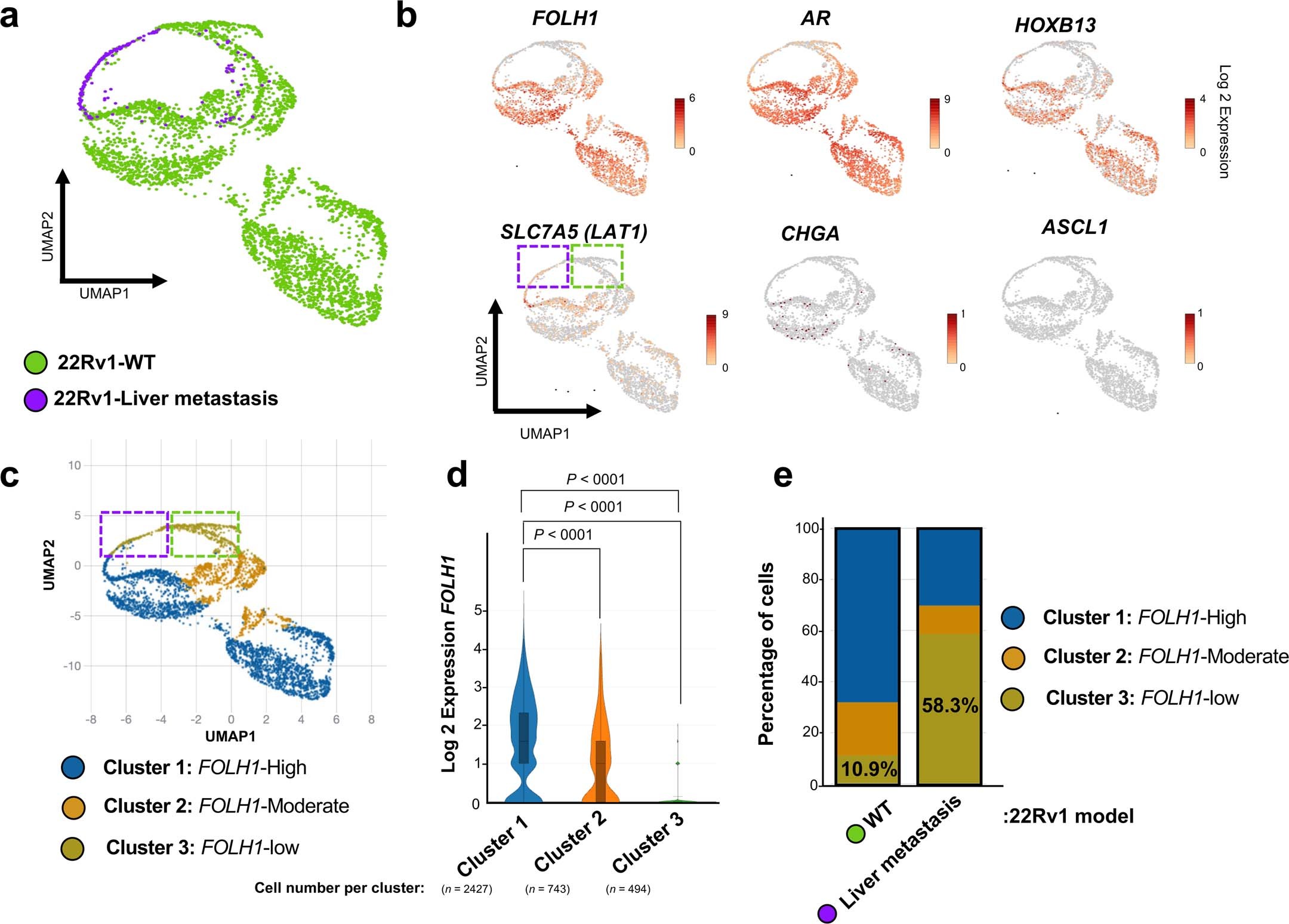 Extended Data Fig. 3: Single-cell transcriptome analysis of the 22Rv1-WT cell line and 22Rv1 liver metastasis.