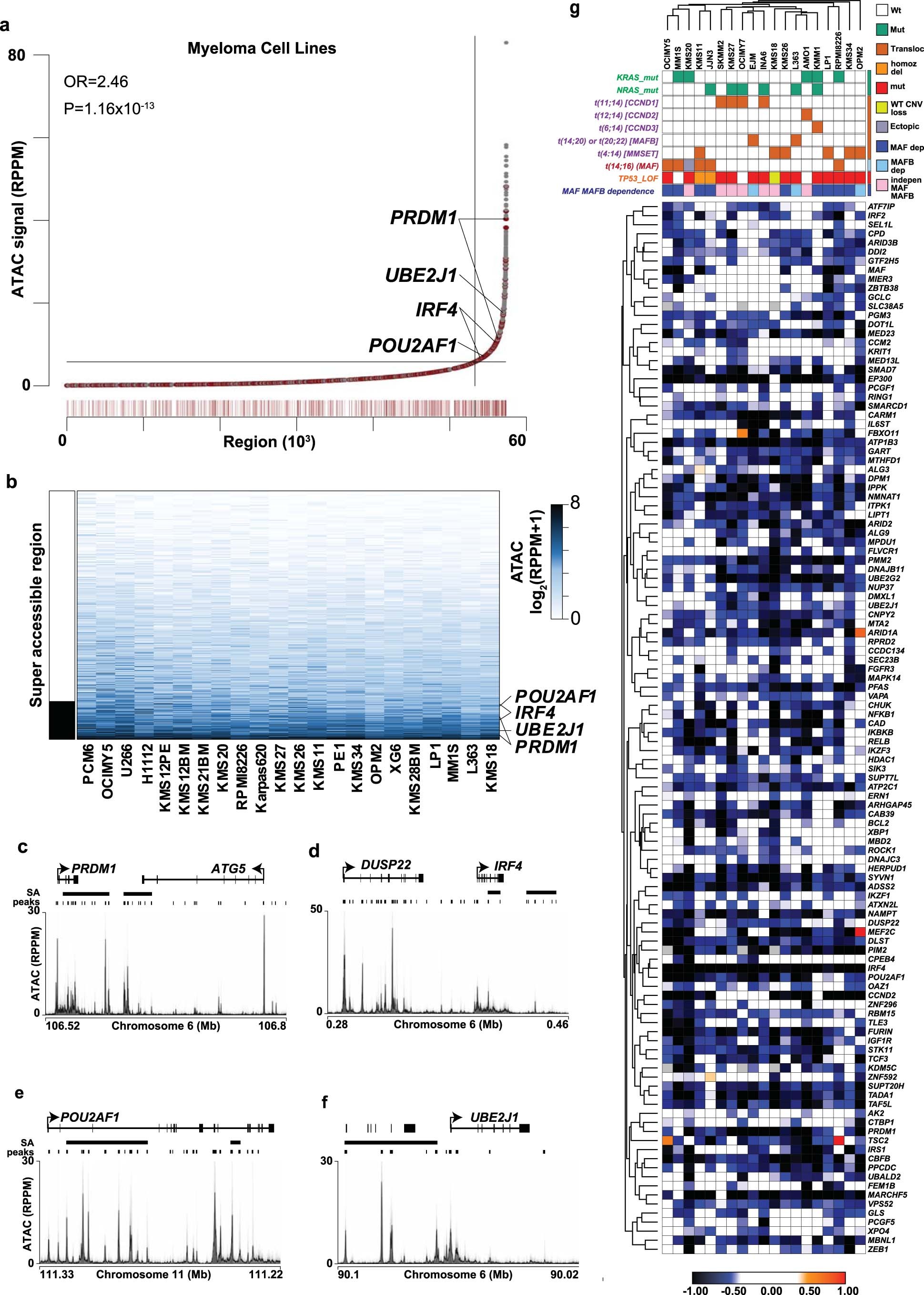 Extended Data Fig. 6