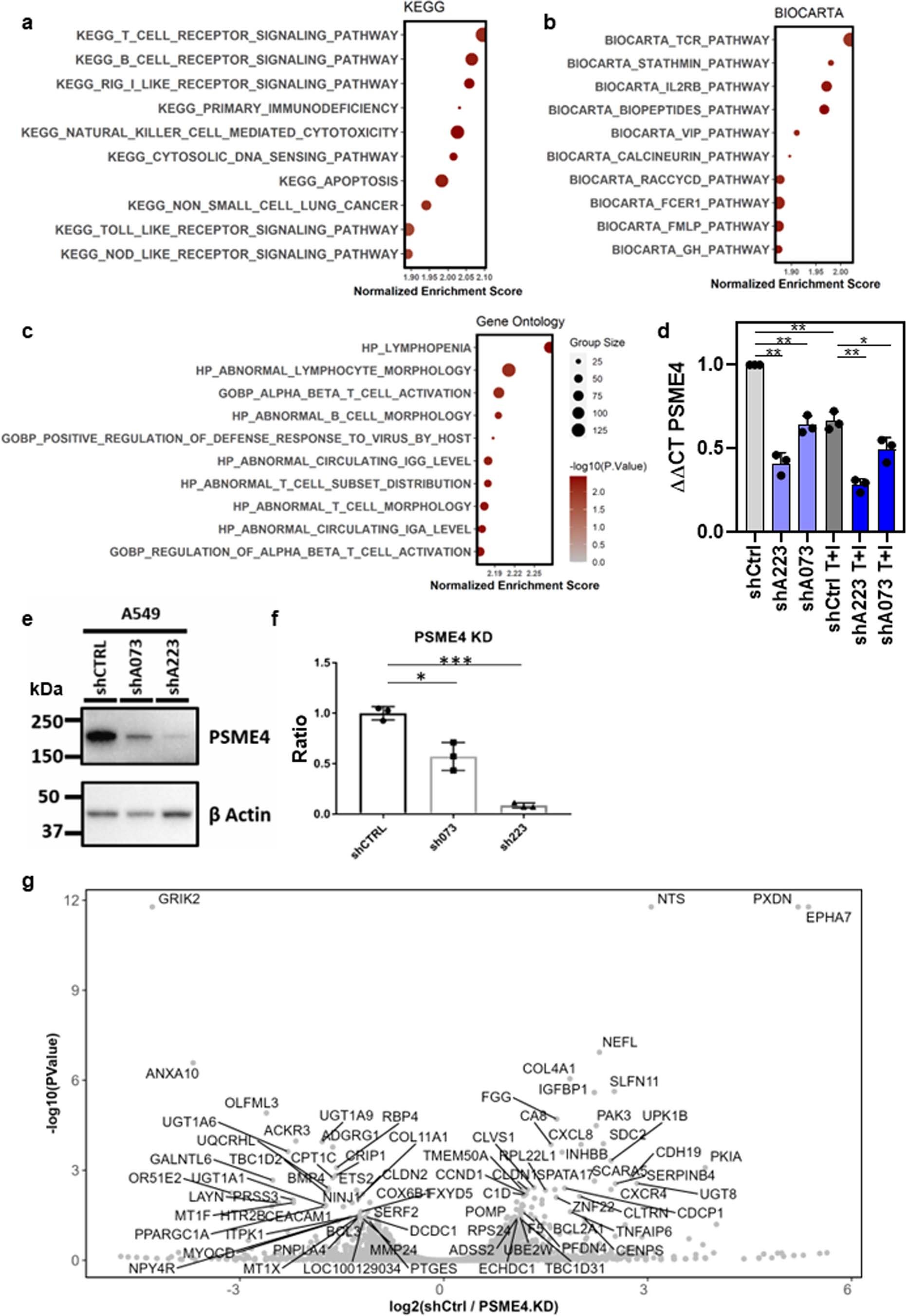 Extended Data Fig. 4