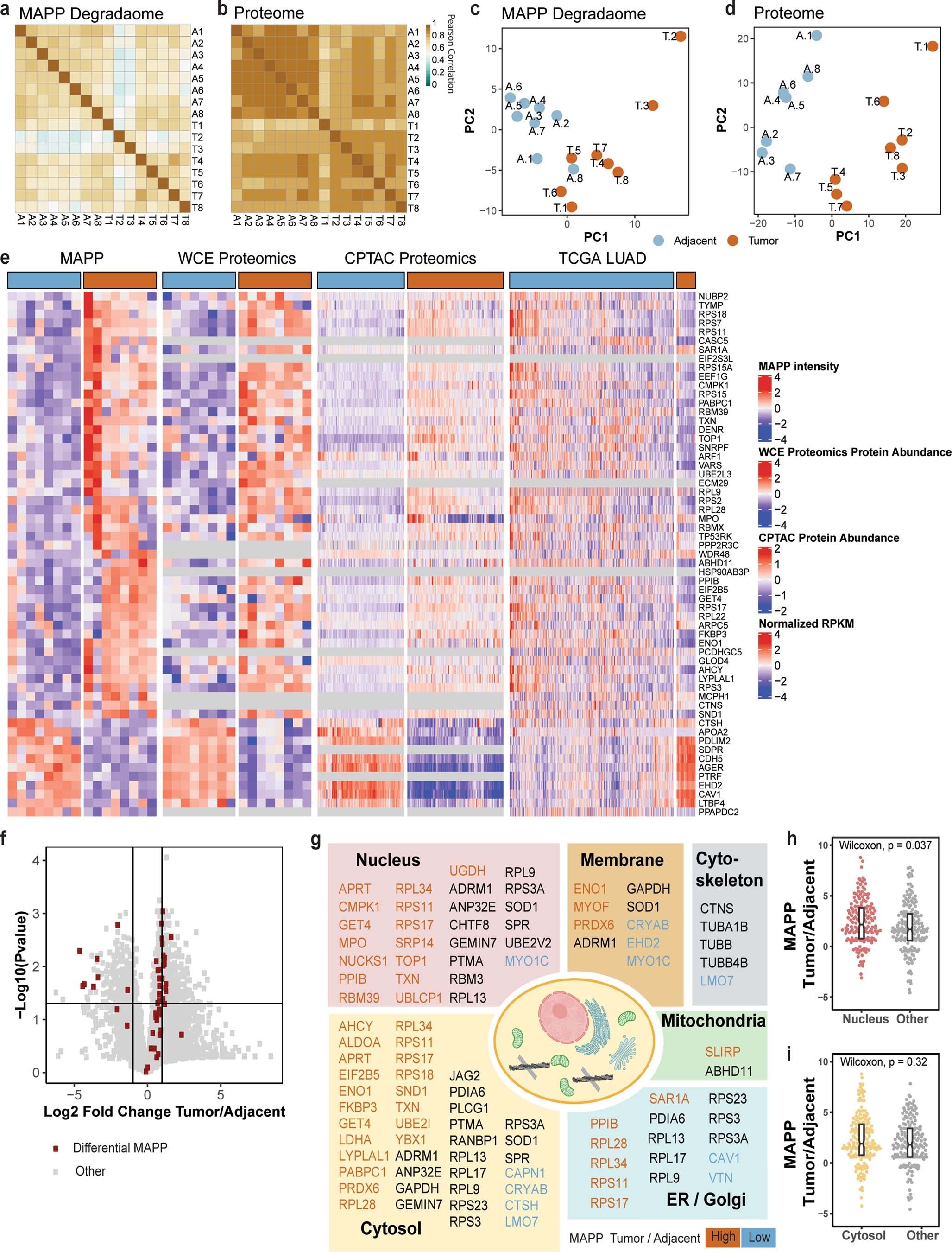 Extended Data Fig. 5