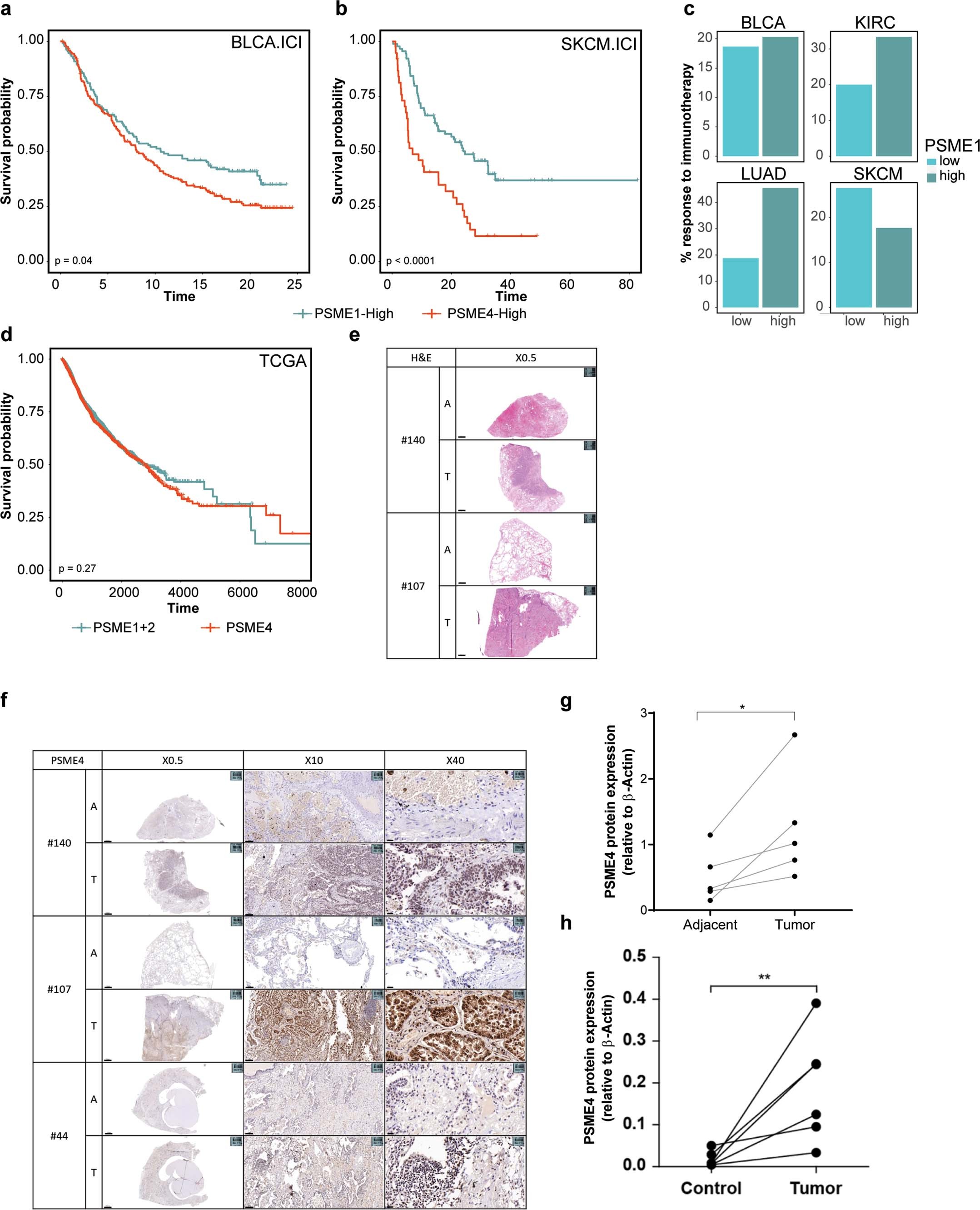 Extended Data Fig. 2