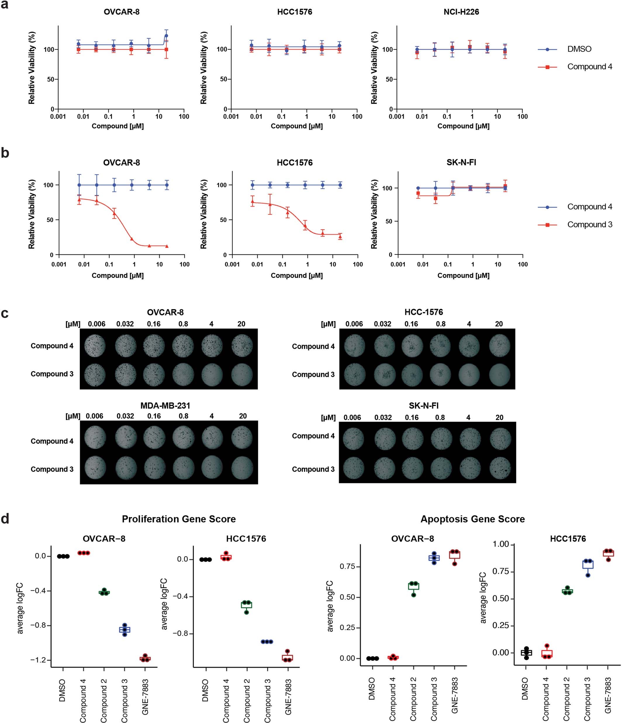 Extended Data Fig. 3: Compound 4 does not impact growth of YAP/TAZ-dependent cell lines in vitro.
