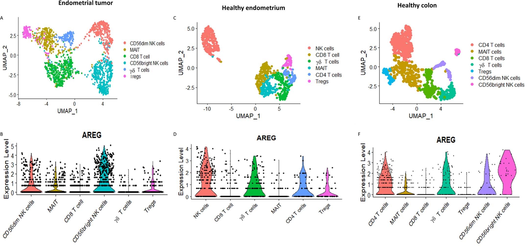 Extended Data Fig. 4: γδ T cells are not the major source of AREG in healthy colon, healthy endometrium, or endometrial tumors.
