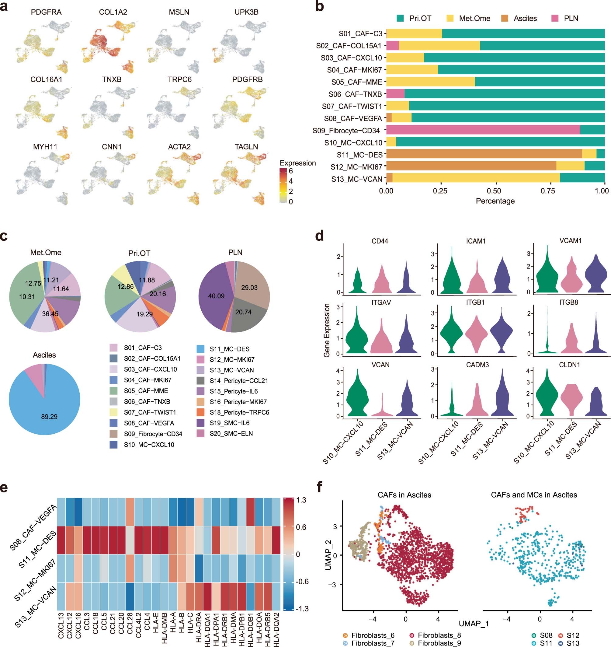 Extended Data Fig. 8: Basic information of stromal cell clusters and gene expressions of mesothelial cells in ascites.