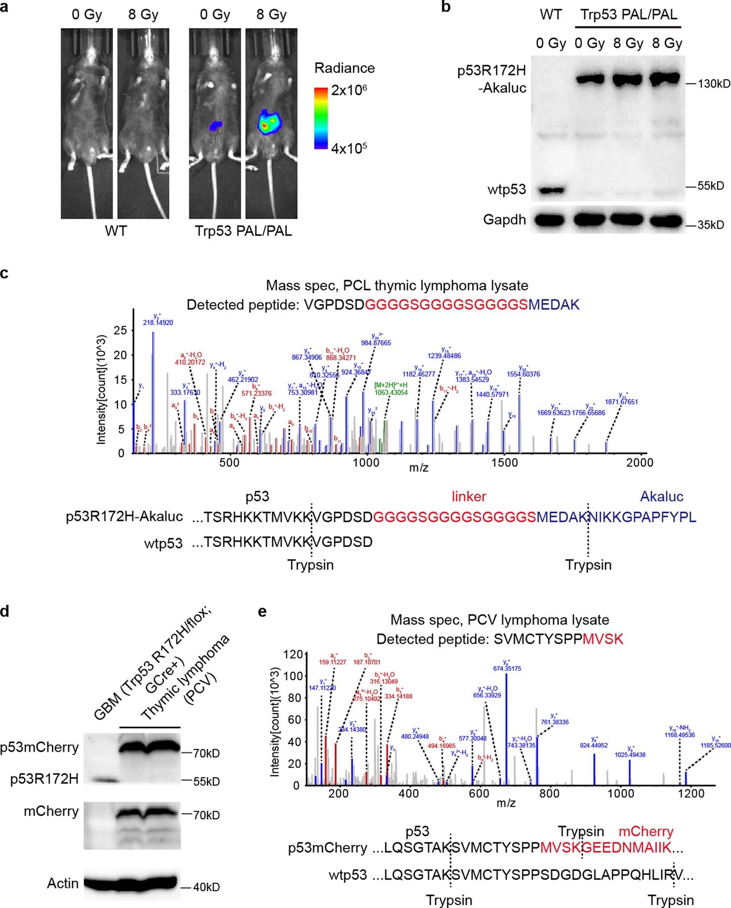 Extended Data Fig. 4