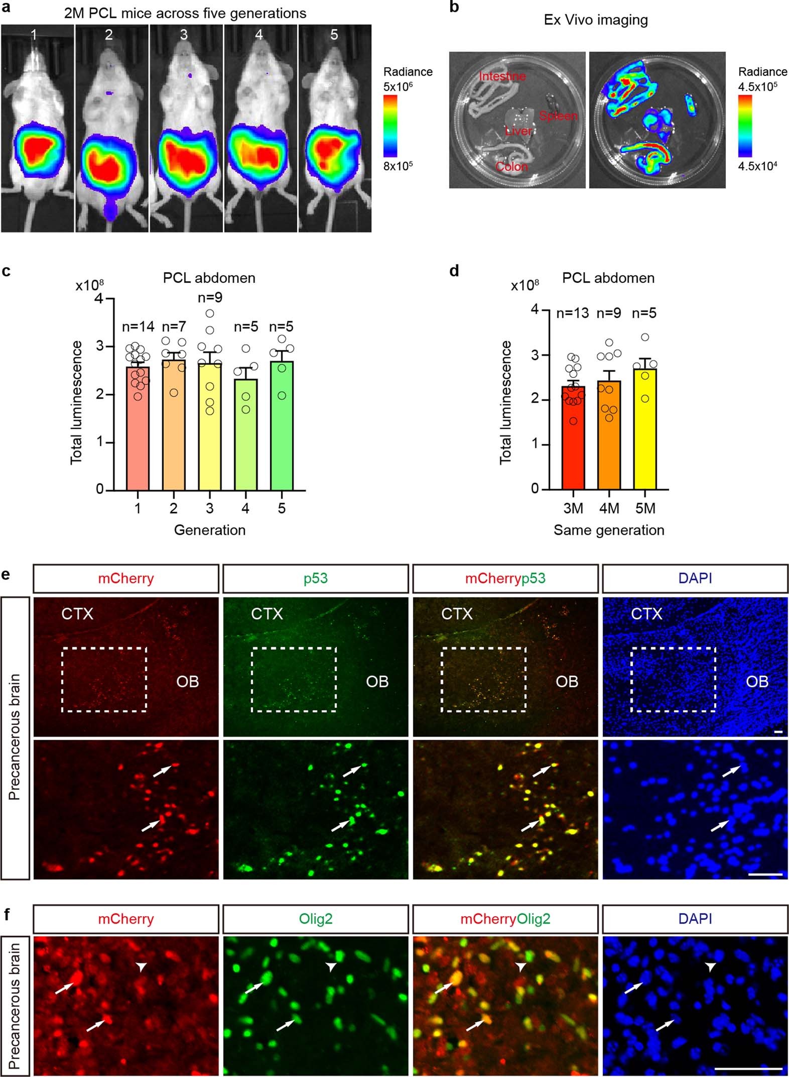 Extended Data Fig. 5
