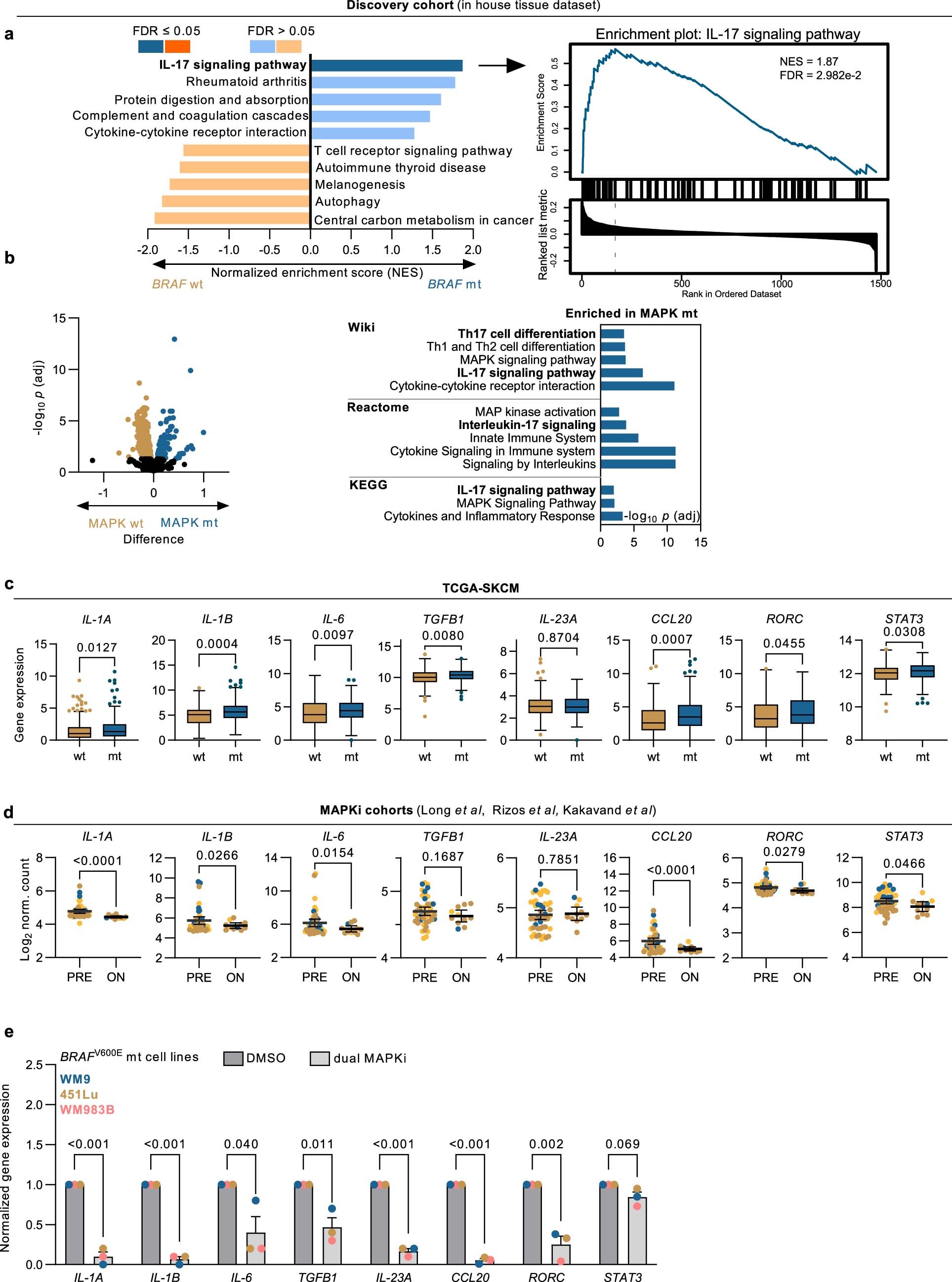 Extended Data Fig. 1: The association between the IL-17A signaling and MAPK pathways.