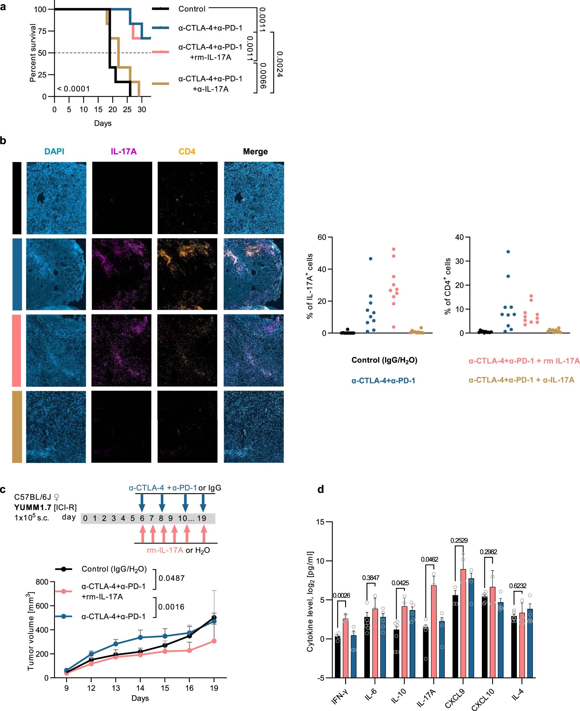 Extended Data Fig. 2: IL-17A supports anti-tumor effects of dual ICI in mouse melanoma.