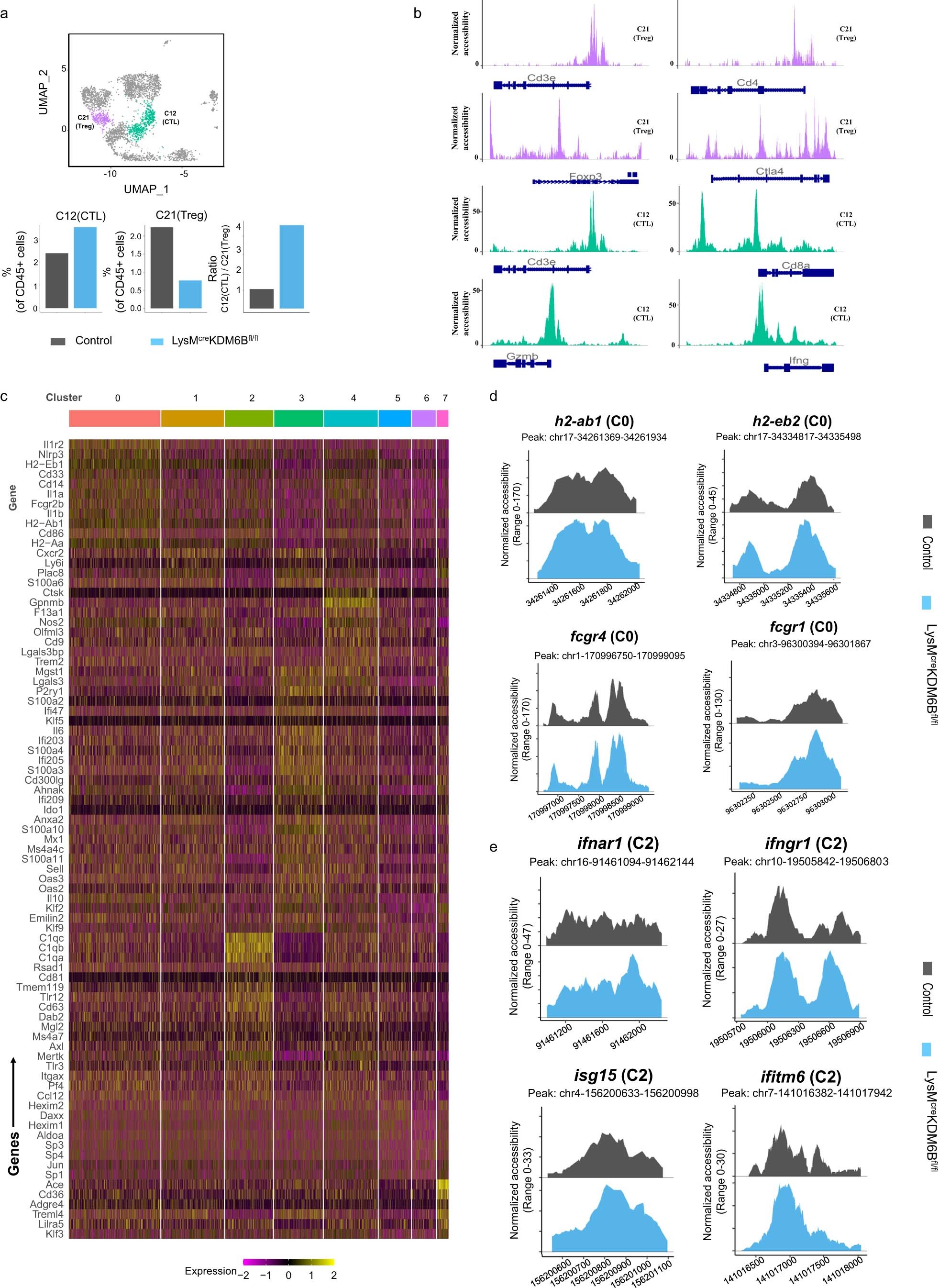 Extended Data Fig. 7: Kdm6b deletion alters the chromatin landscape of intratumoral myeloid cells.