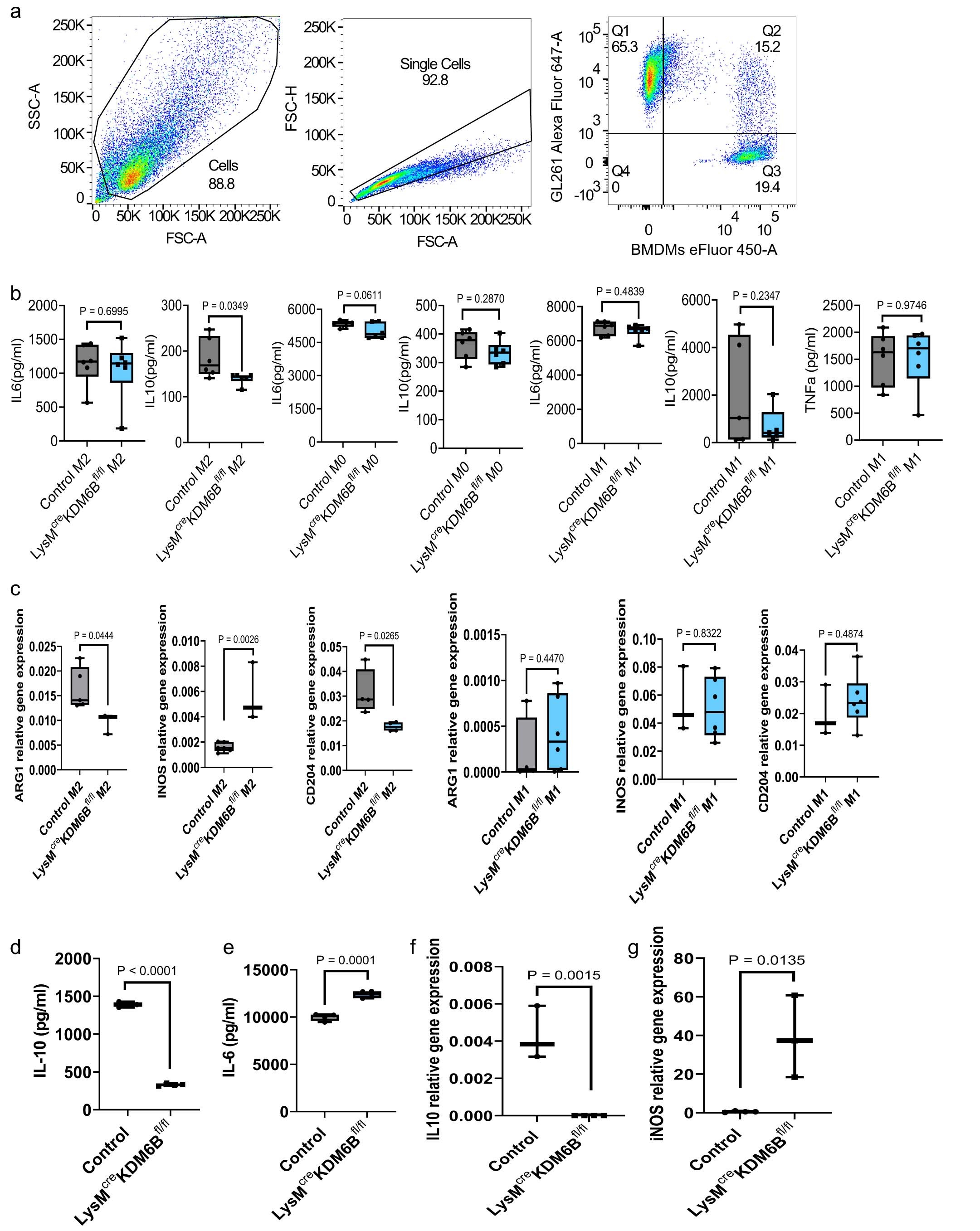 Extended Data Fig. 8: Absence of Kdm6b inhibits acquisition of an immune-suppressive phenotype in BMDMs.