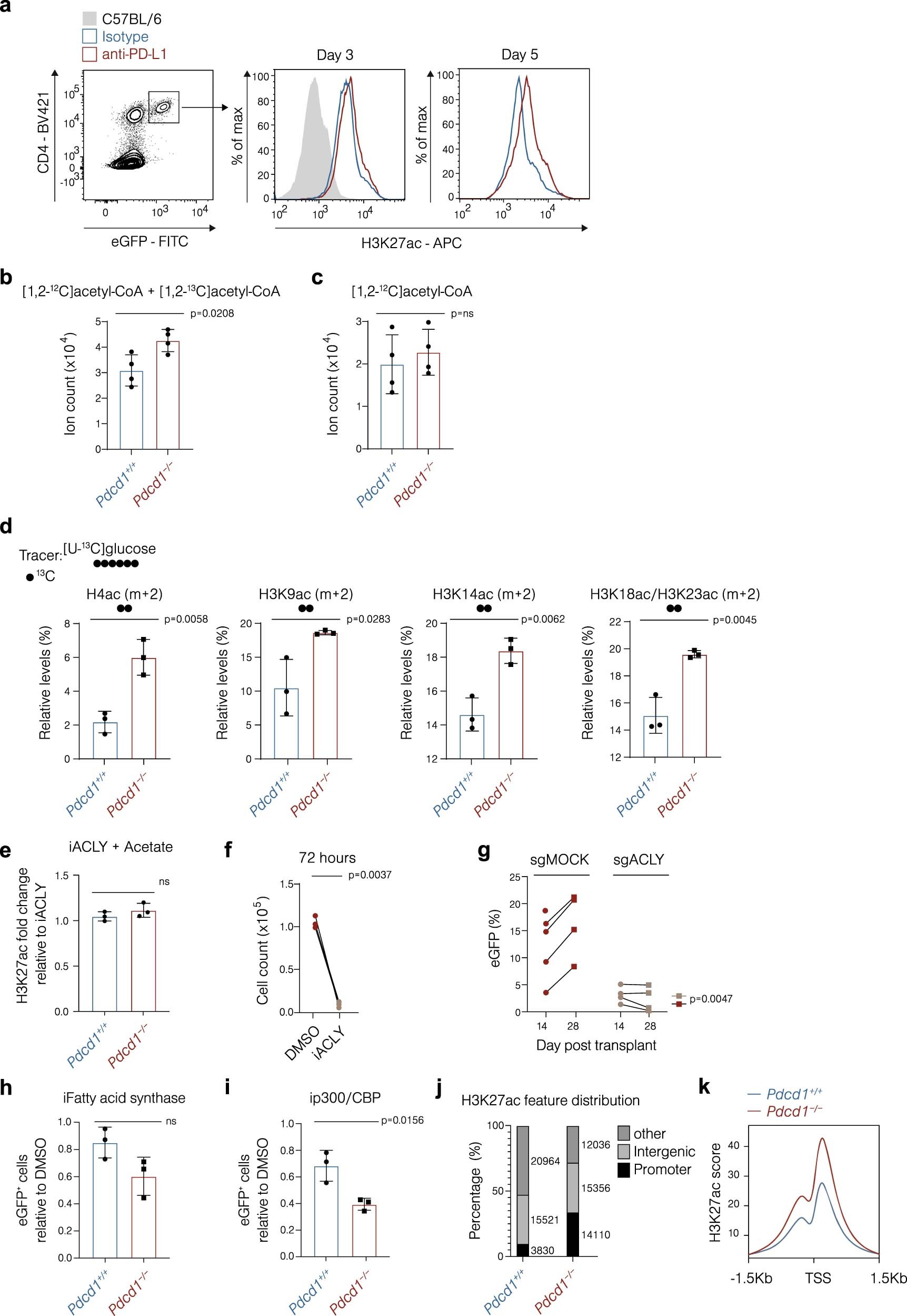 Extended Data Fig. 4: PD-1 controls ACLY-dependent epigenetic reprogramming.