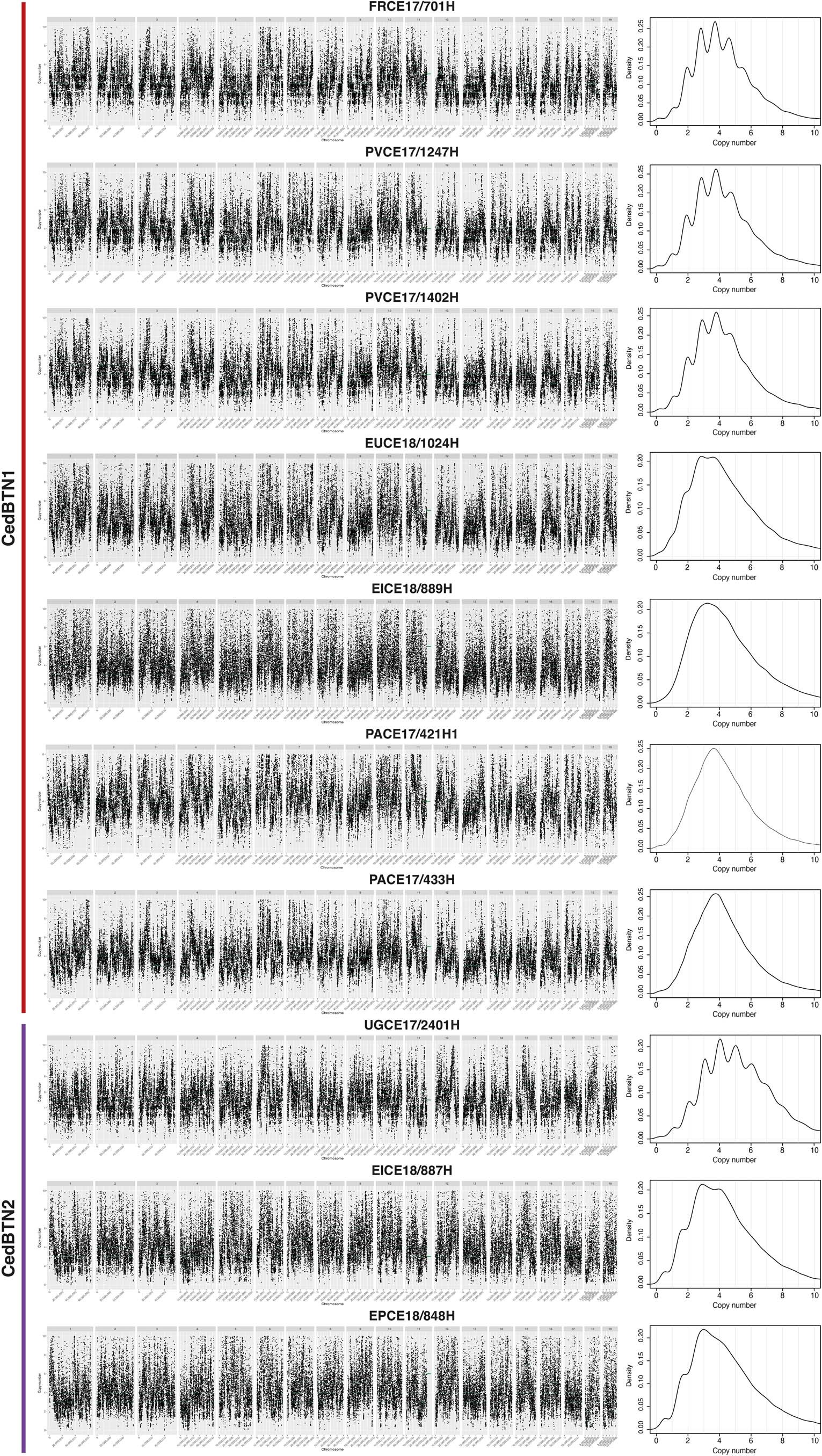 Extended Data Fig. 9: Copy number profiles of CedBTN samples.