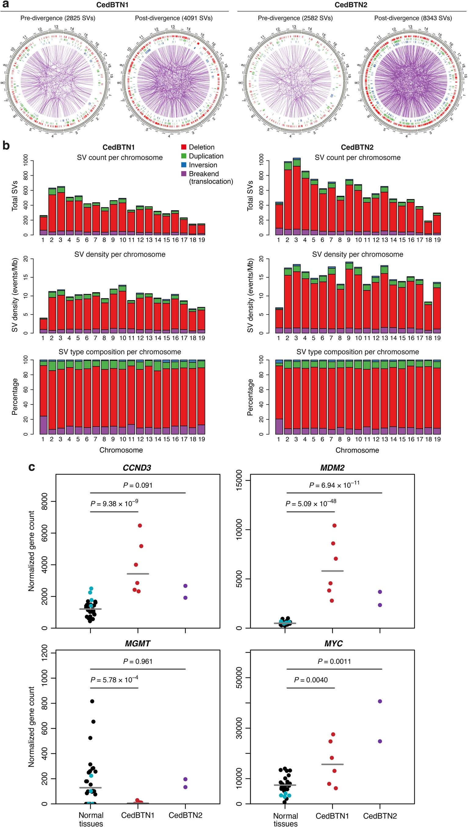 Extended Data Fig. 10: Structural variant distribution and candidate driver gene expression in CedBTN.