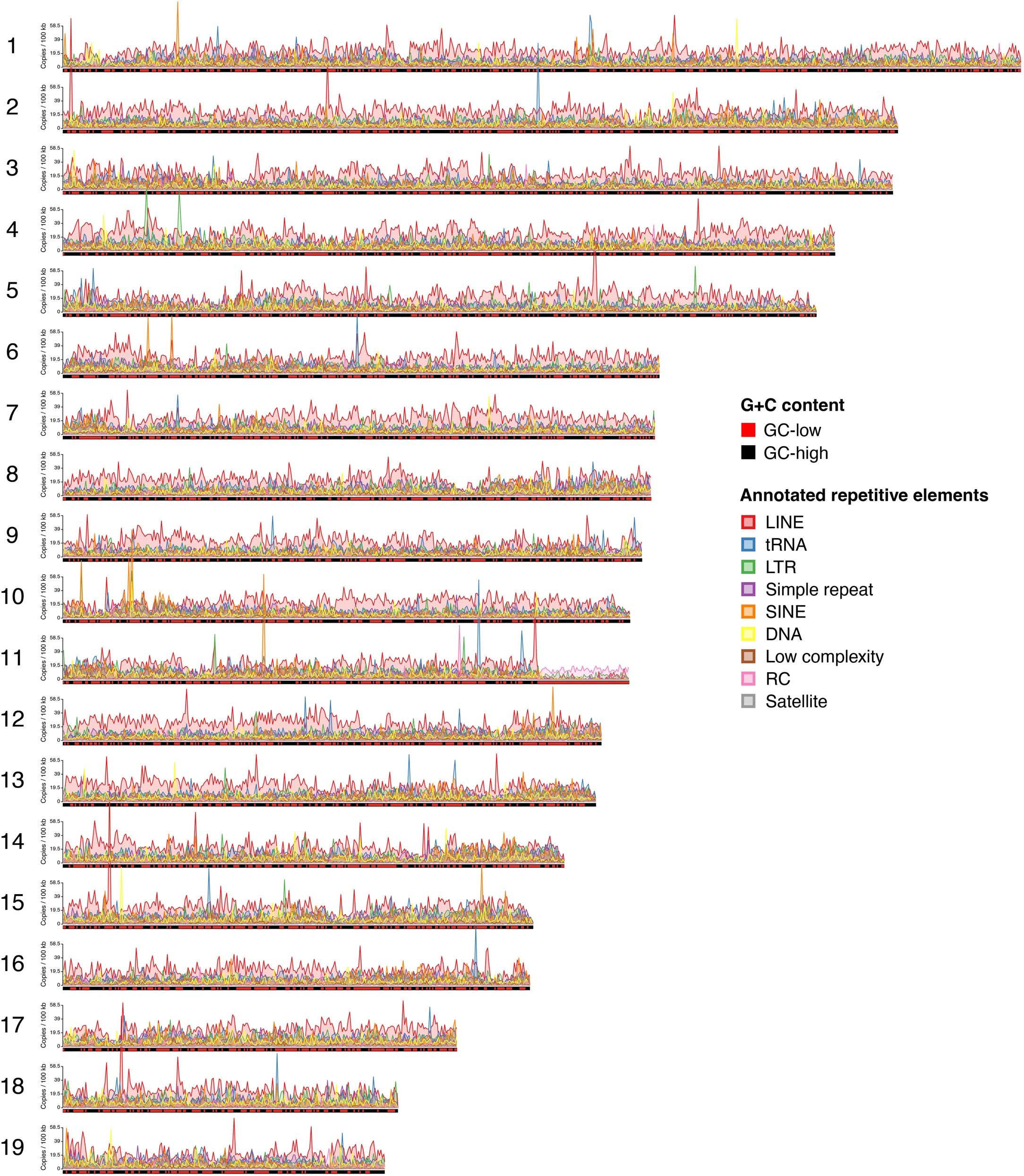 Extended Data Fig. 2: Distribution of repetitive elements in the cockle genome.