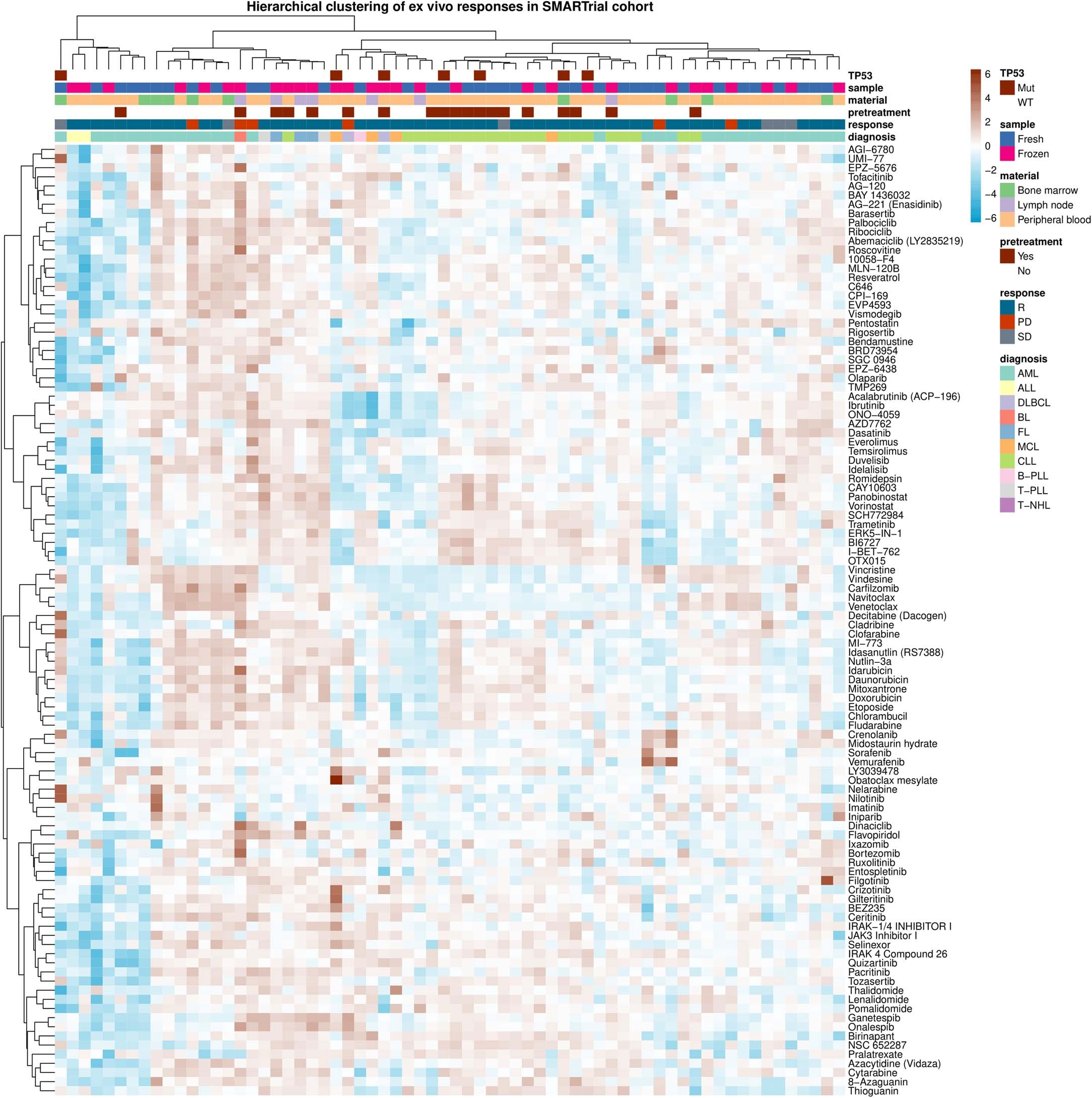 Extended Data Fig. 3: Drug response heatmap – SMARTrial.
