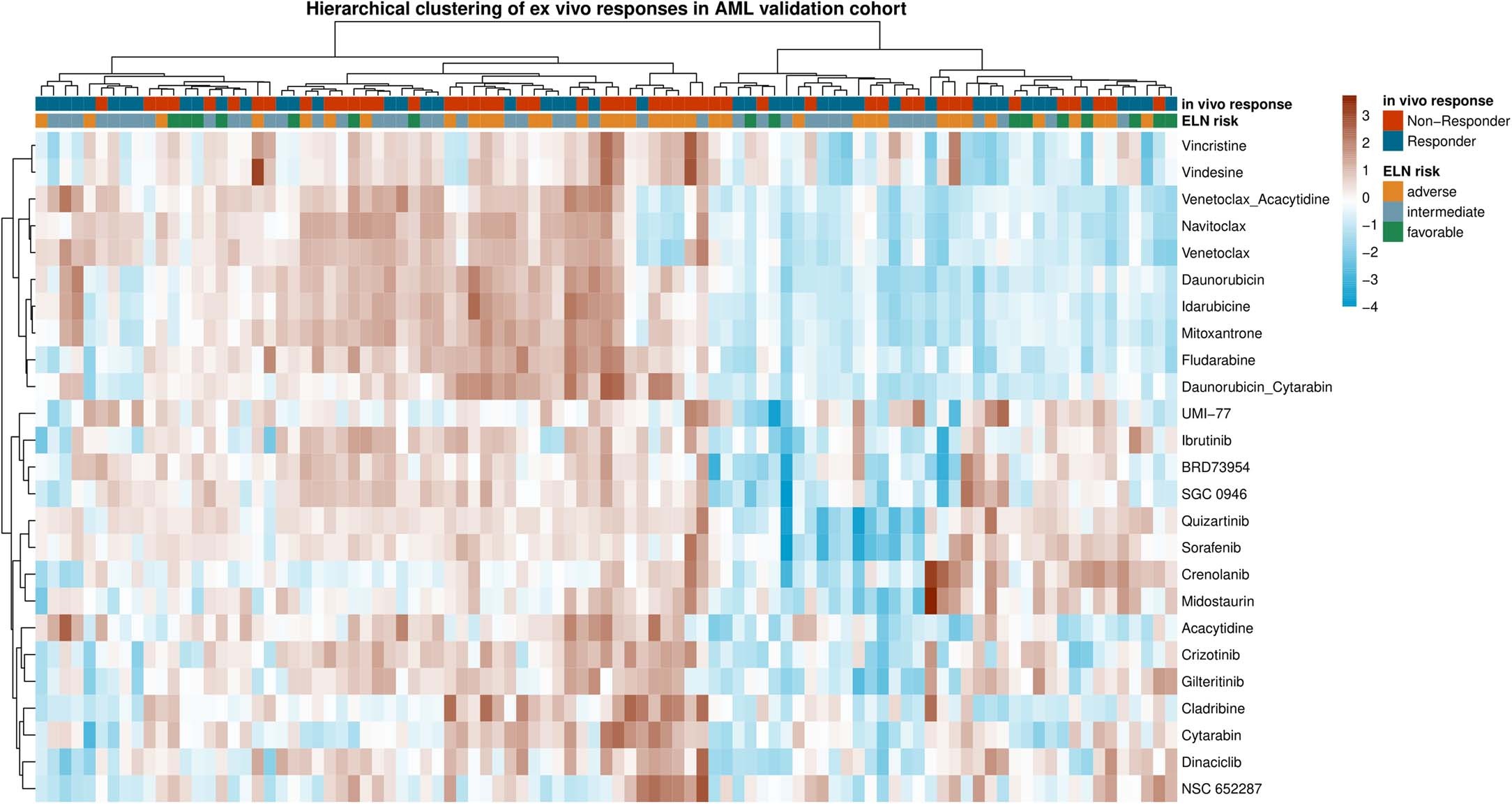 Extended Data Fig. 4: Drug response heatmap – validation cohort.