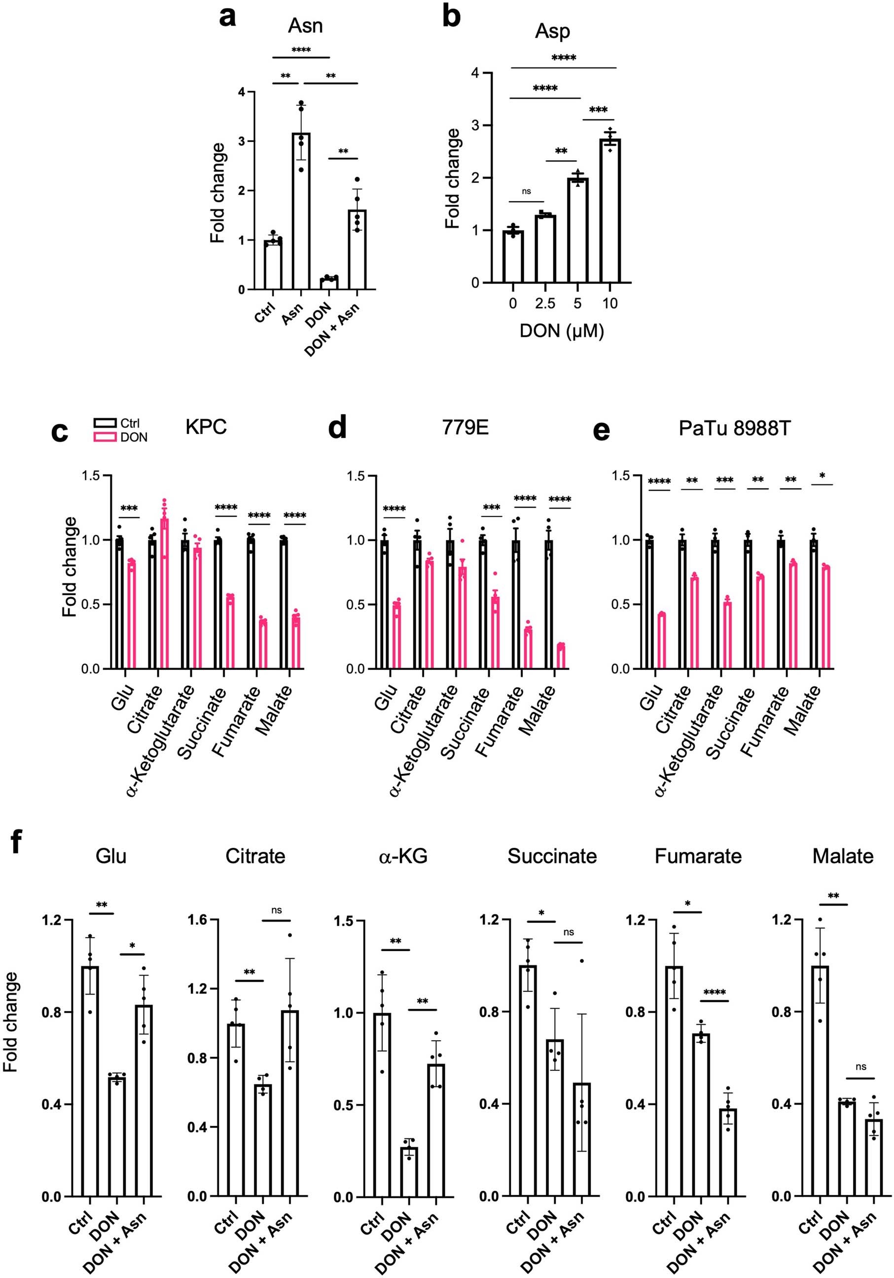 Extended Data Fig. 5: DON treatment affects polar metabolite pools.