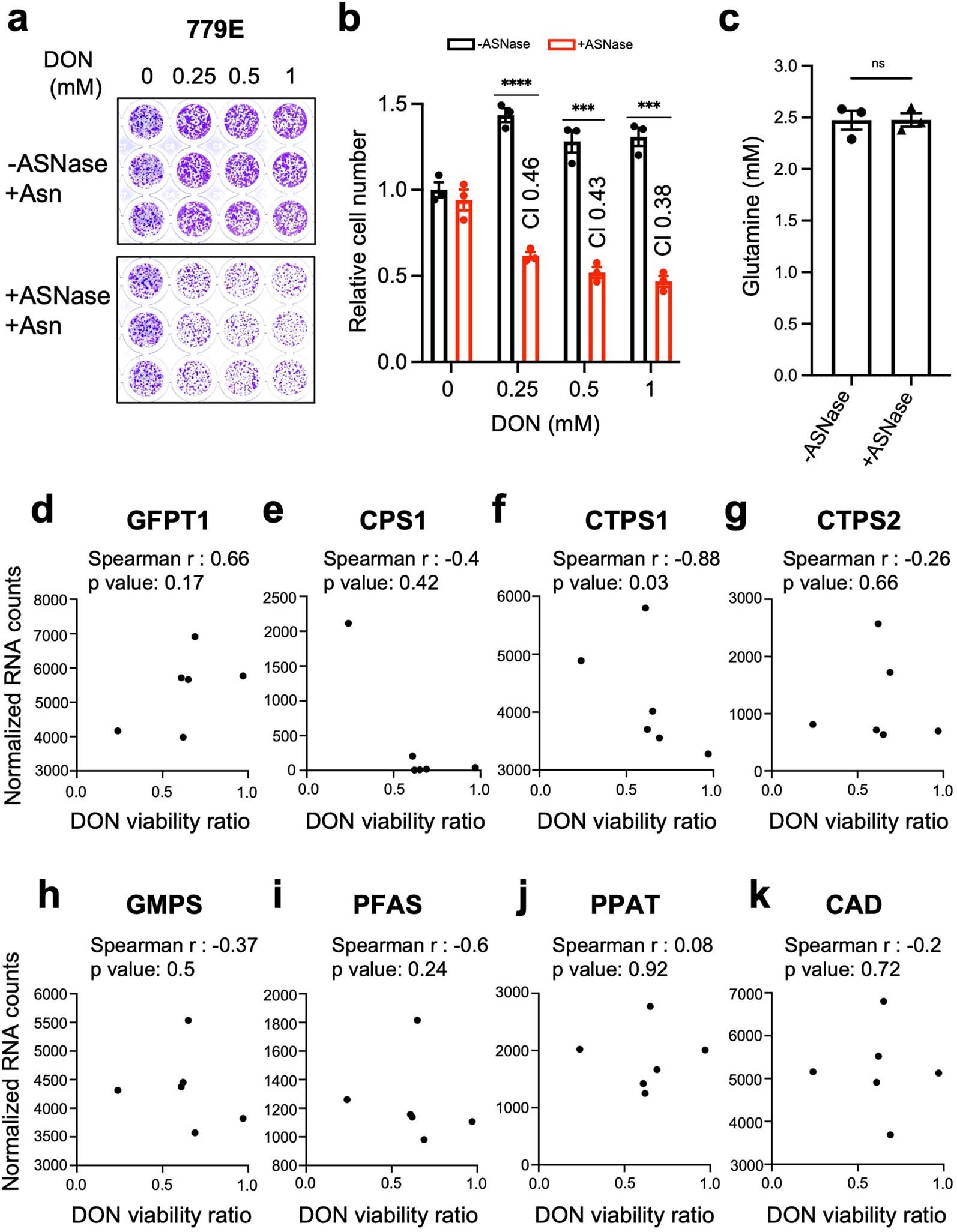 Extended Data Fig. 7: DON and ASNase co-treatment in 779E cells, glutamine quantification, and correlation analyses for DON target genes in PDOs.