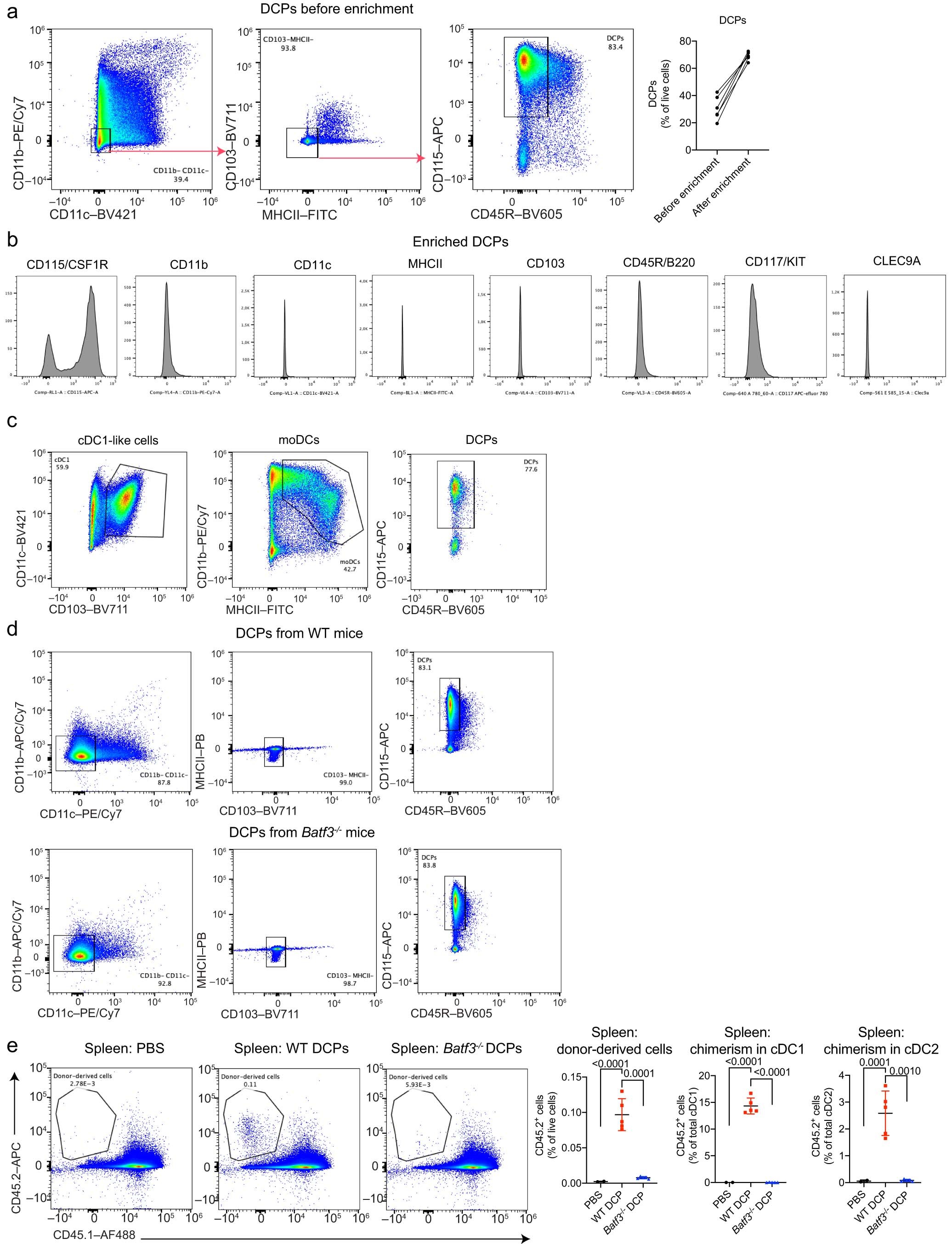 Extended Data Fig. 1: DCPs efficiently generate cDCs in recipient mice.