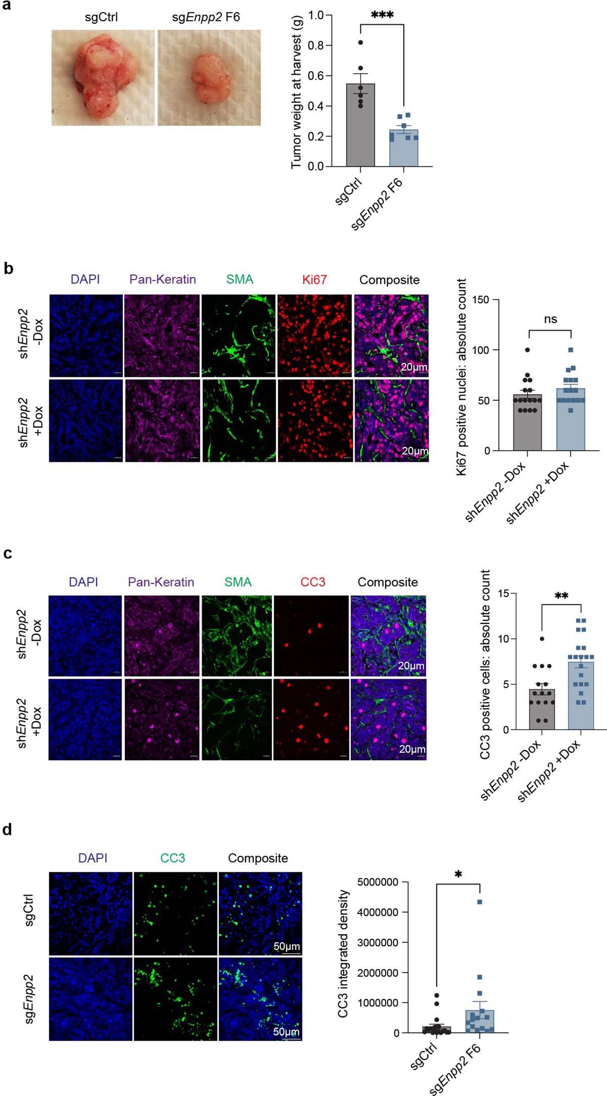 Extended Data Fig. 1