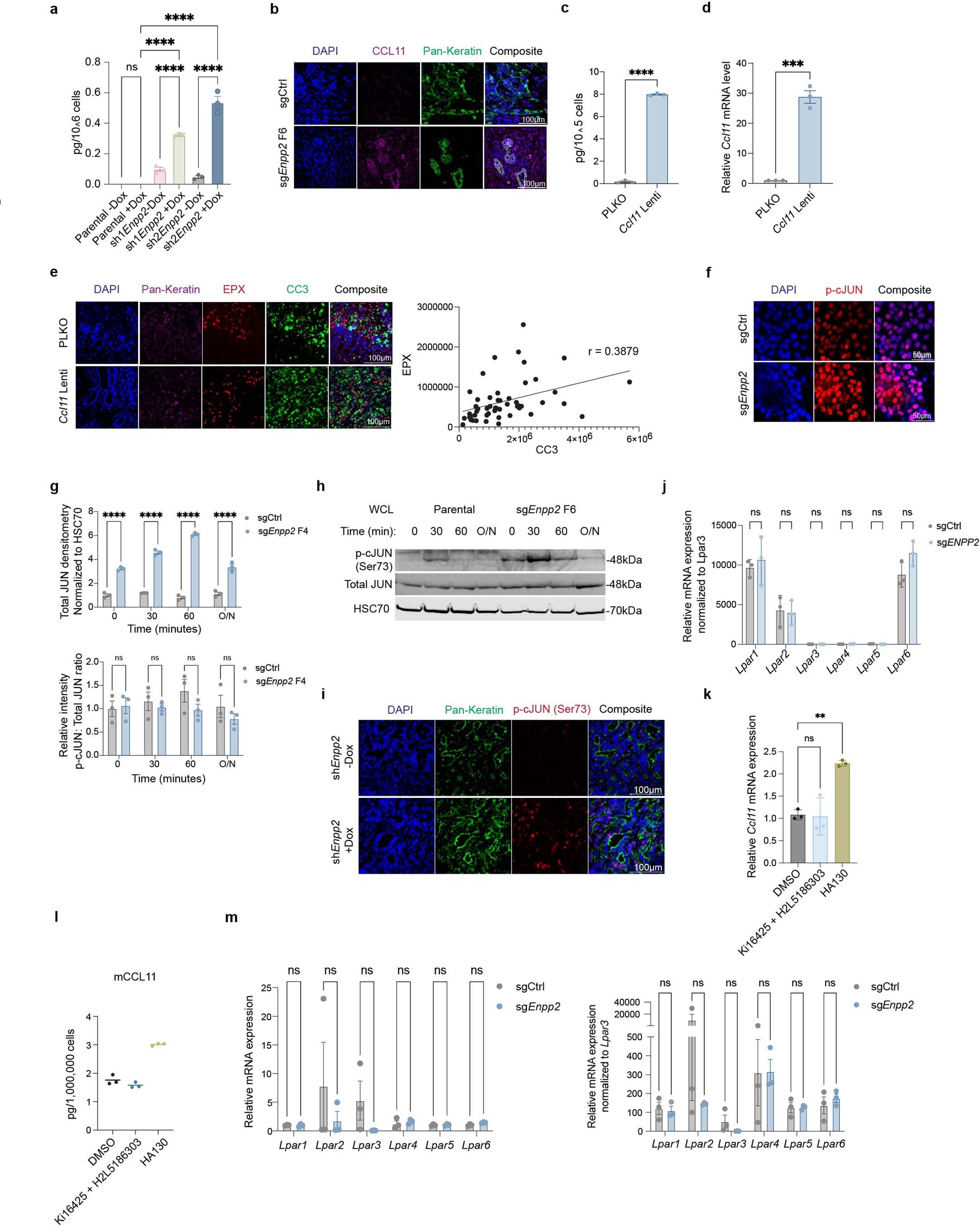 Extended Data Fig. 4