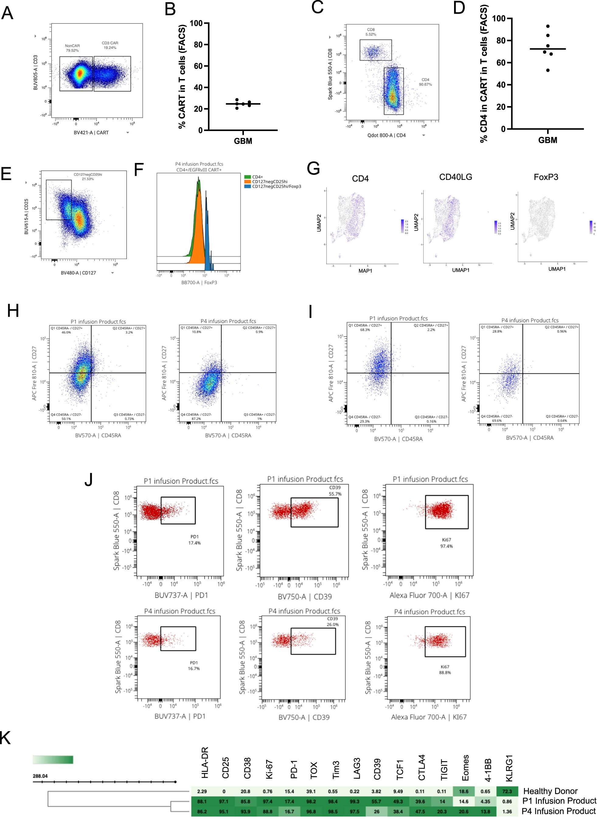 Extended Data Fig. 1: CAR T cells in the infusion products are activated and exhausted effector T cells, with comparable features across patients.