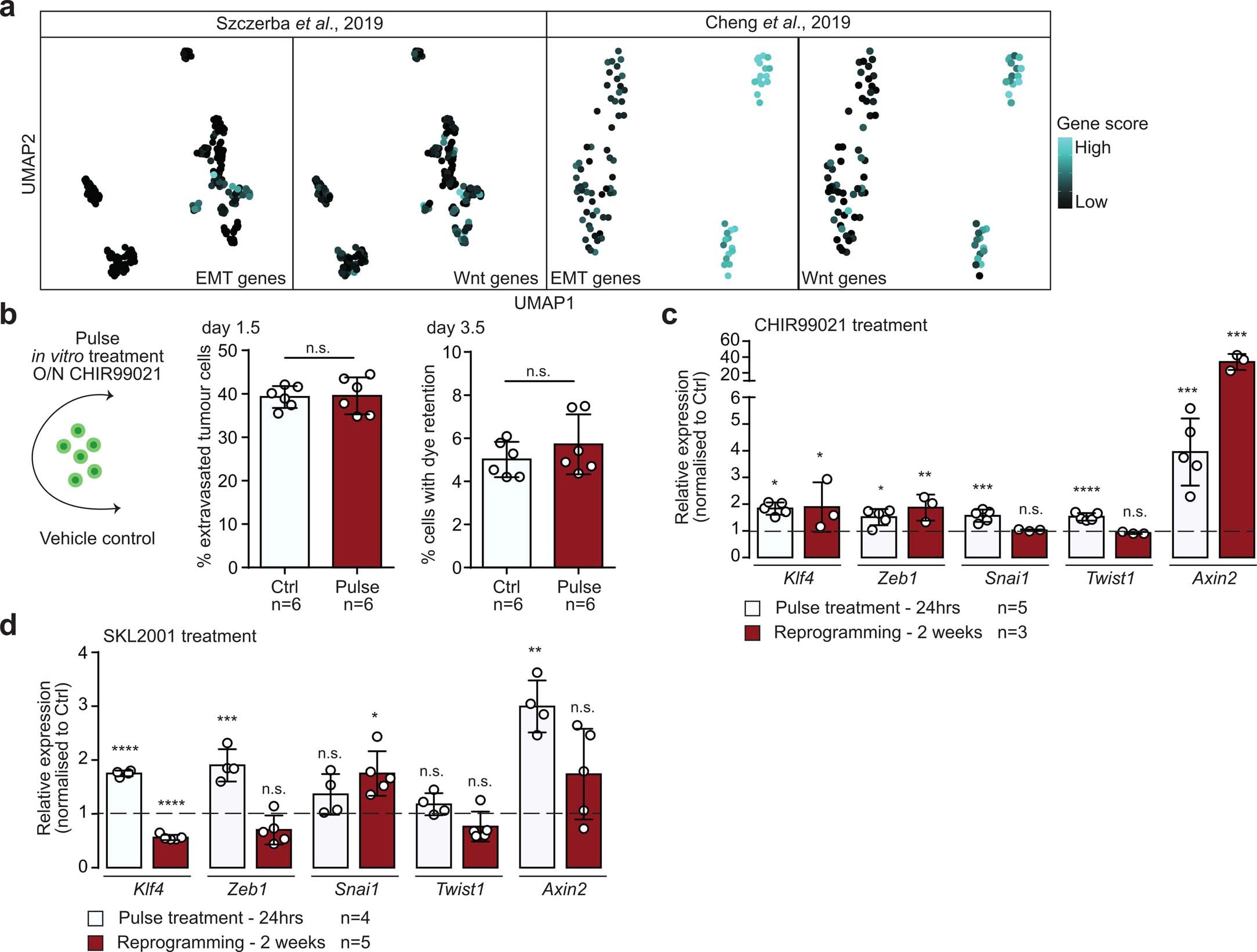 Extended Data Fig. 8: Wnt-agonistic treatment in vitro does not change cellular identity.
