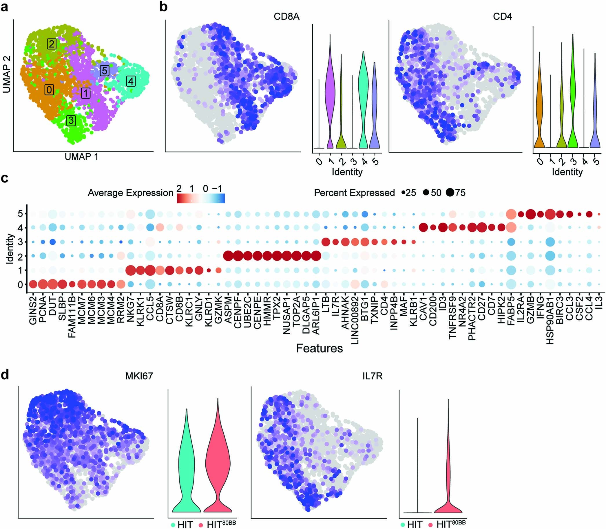 Extended Data Fig. 2: UMAP projections and Suerat clustering of 19-HIT and 19-HIT80BB cells.