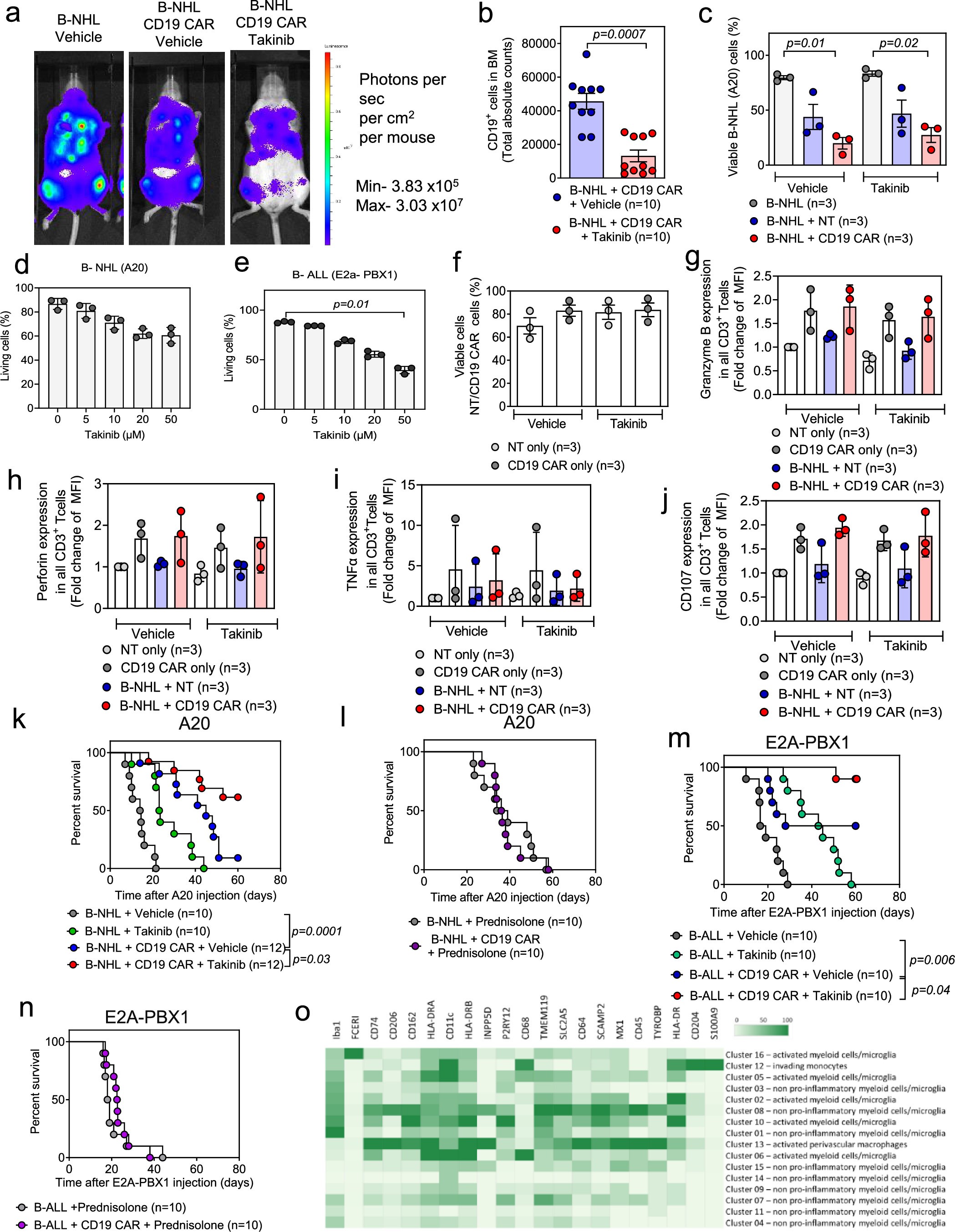 Extended Data Fig. 9: Takinib does not interfere with cytotoxicity of CAR19 T cells.