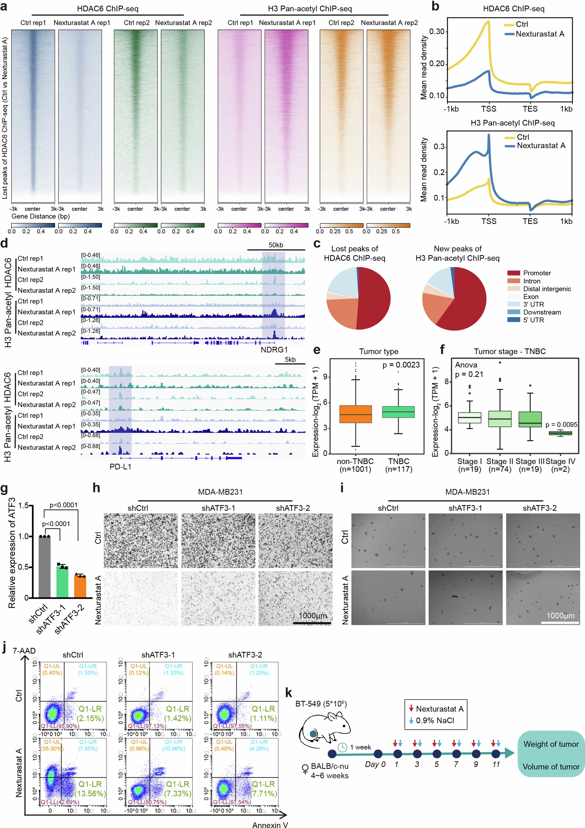 Extended Data Fig. 8