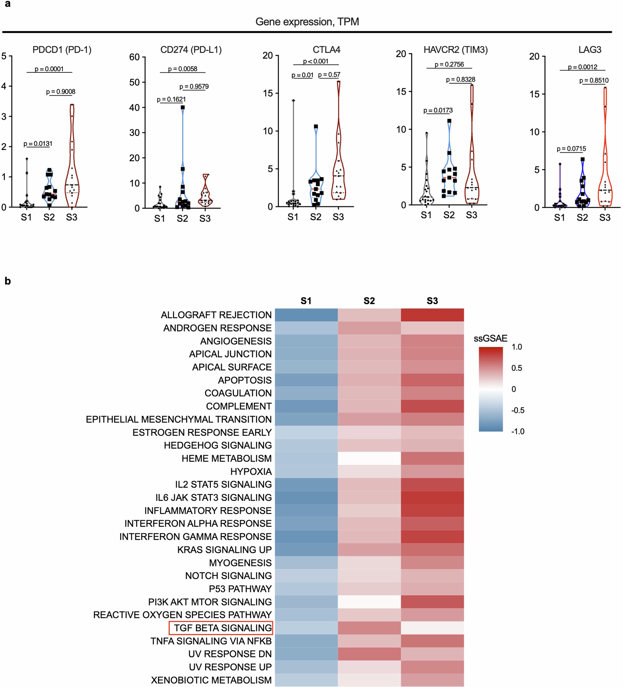 Extended Data Fig. 6: Immune checkpoint gene expression and hallmark pathways in three subtypes.