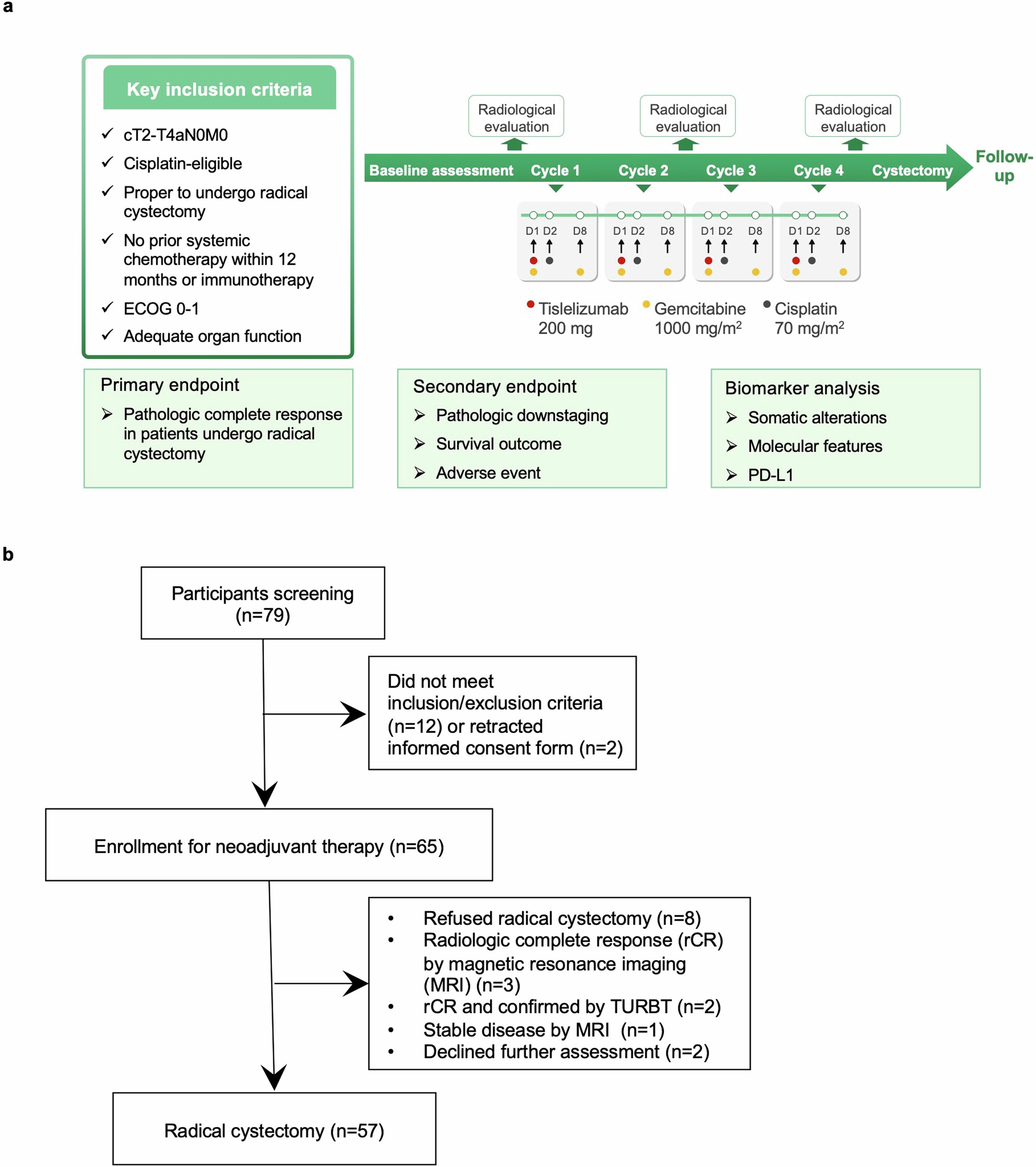 Extended Data Fig. 1: Trial design and participant enrollment.