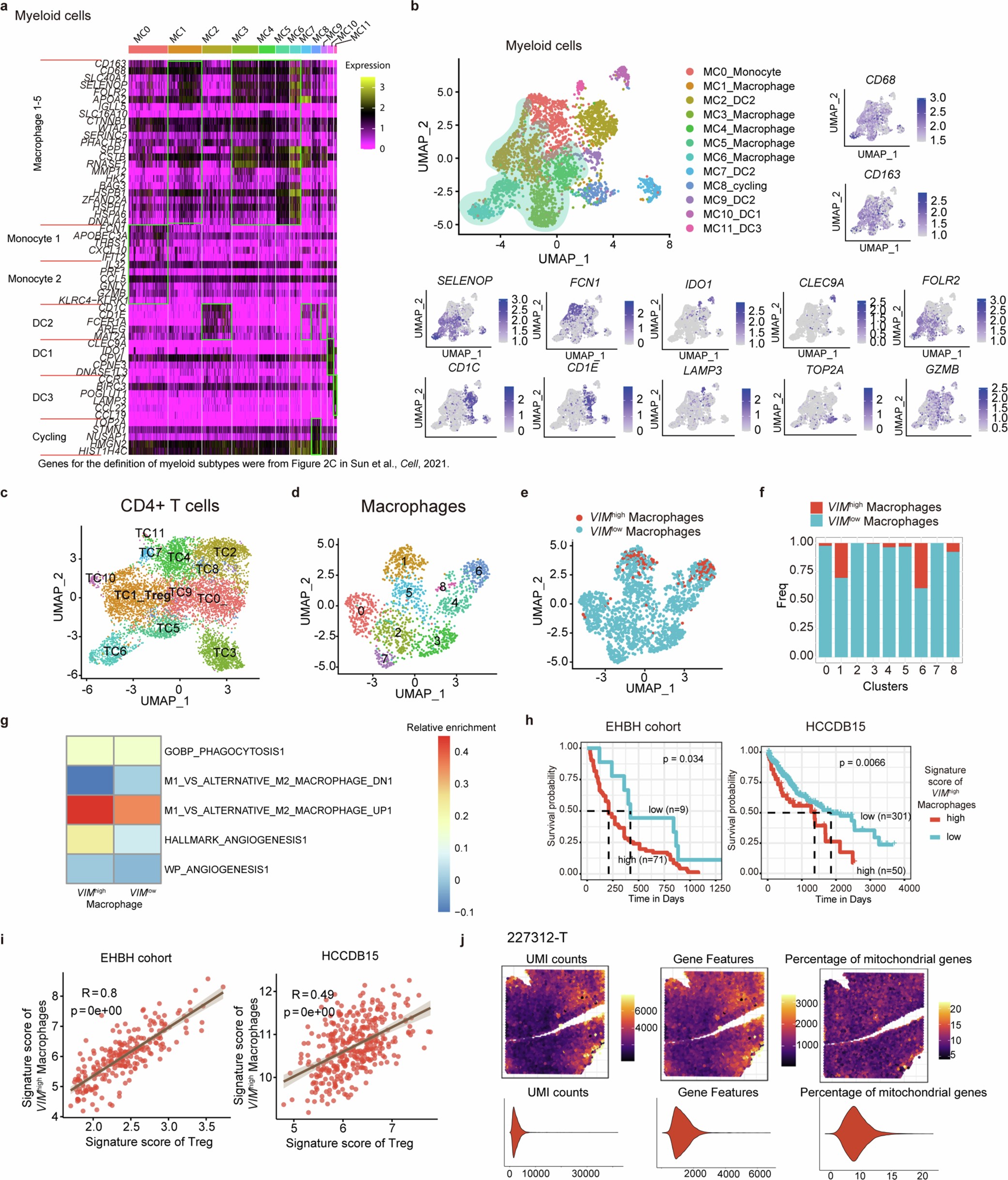 Extended Data Fig. 8: Re-analyzing the published scRNA-seq dataset of HCC.