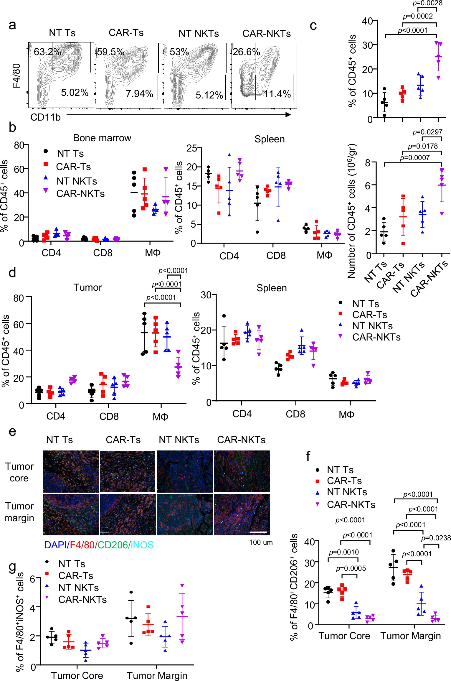 Extended Data Fig. 5: CAR-NKT cells decrease tumor-associate macrophages within the tumor microenvironment.